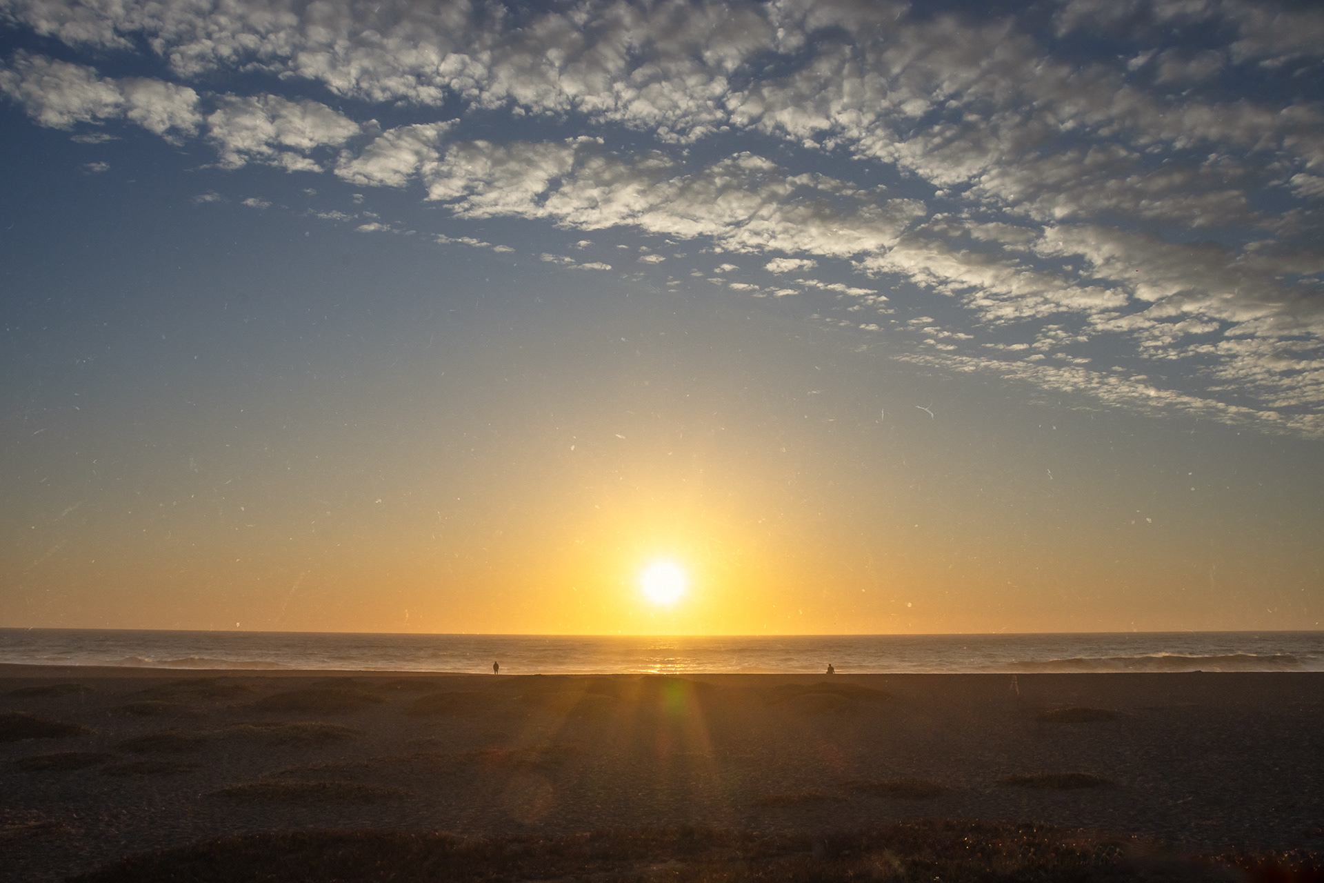 EL OTRO DÍA TE VI EN LA PLAYA. 2024.