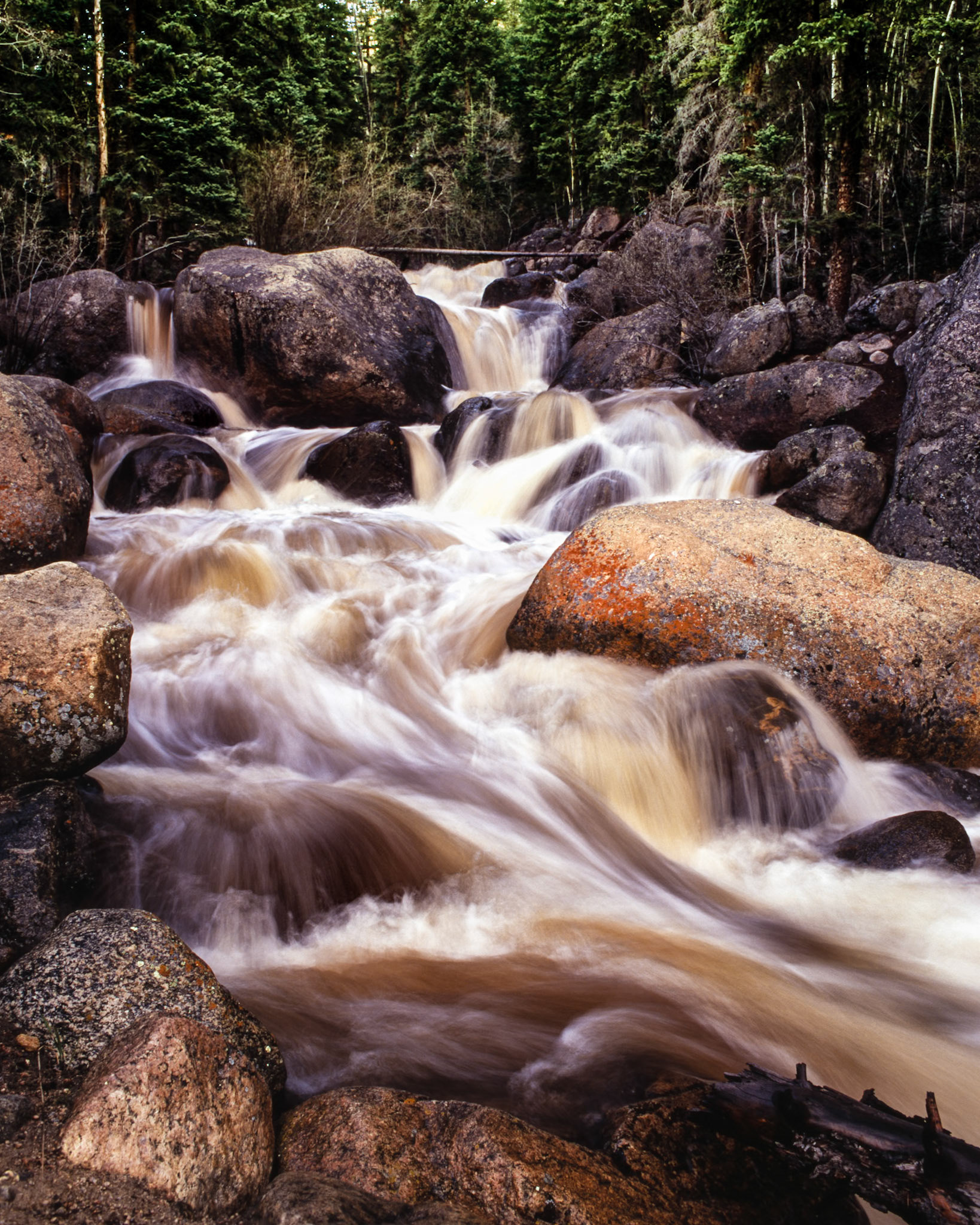 Scott Gomer Creek begins its approximately nine mile (15 kilometers) southward journey high on the slope between Grey Wolf Mountain and Mount Spalding. It is pictured here in the middle of its last 400 foot (122 meter) drop before joining Geneva Creek on its southward journey to the North Fork South Platte River.