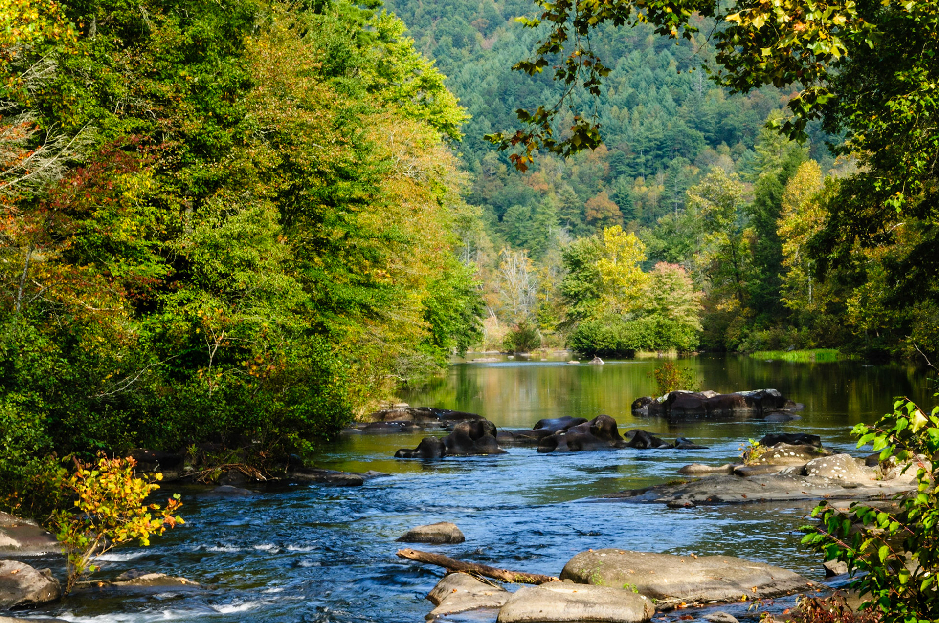 There was this little store, which I believe was in Tennessee and before the Tail of The Dragon ended at Deals Gap, where I was rewarded with this beautiful sight after the store’s owner granted me permission to explore around the property surrounding it. I believe what you’re looking at is a small portion of Cooper Camp Branch on its way to the Little Tennessee River.