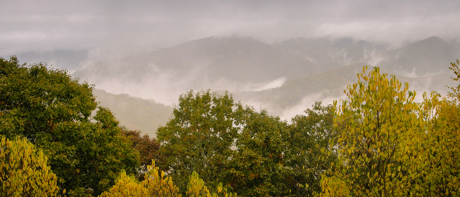 Moisture evaporating from the ground and low-hanging clouds lend their character to some of the peaks in the eponymous Great Smoky Mountains National Park. The US Congress chartered the park in 1934, and the park is managed by the National Park Service, which was created in 1916.