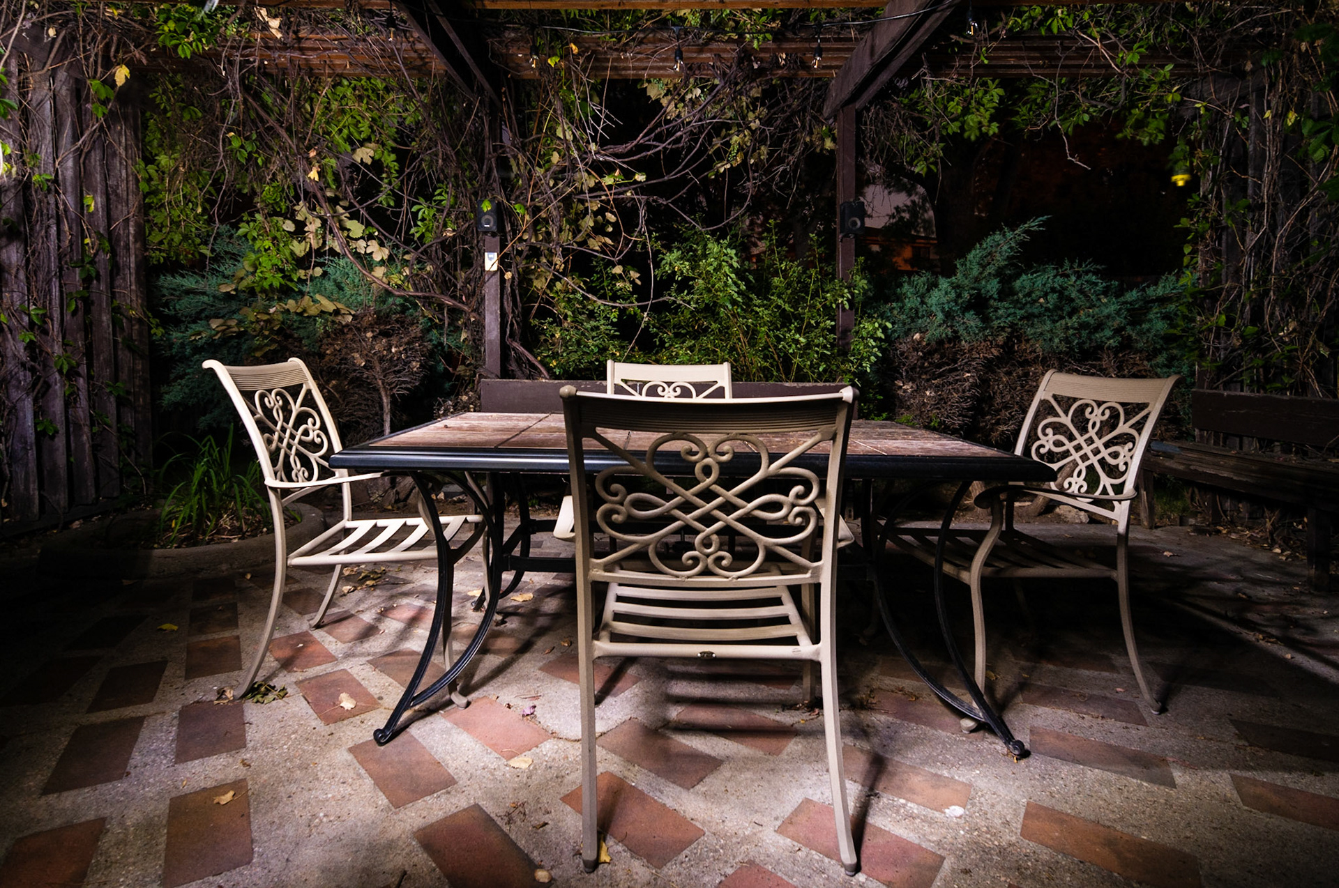Decided to try my hand at a maiking a long exposure (30 seconds) photo on a moonless night using only the light from an LED flashlight for illumination. This was the fifth attempt. You can see a portion of a night sky and a house lit by a street light if you look closely in the upper-third of the photo.