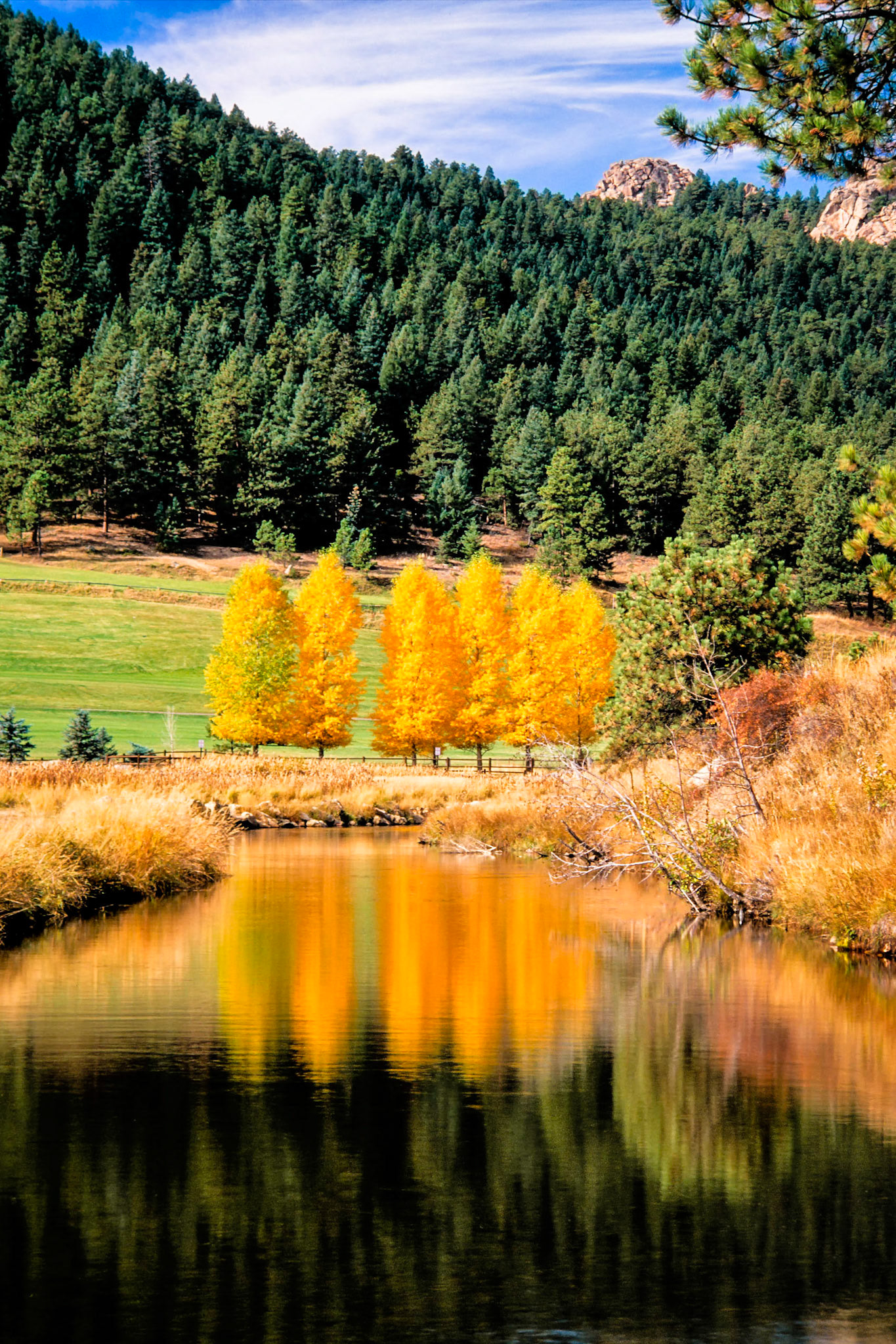 After meandering for several miles along the floor of Bendemeer Valley, and traveling past Rosedale and Troutdale, the waters of Bear Creek appear calm as they enter the reservoir that is Evergreen Lake, Colorado. The trees that line Dedisse Park and the Evergreen Golf Course glow brightly when lit by the early morning sun.