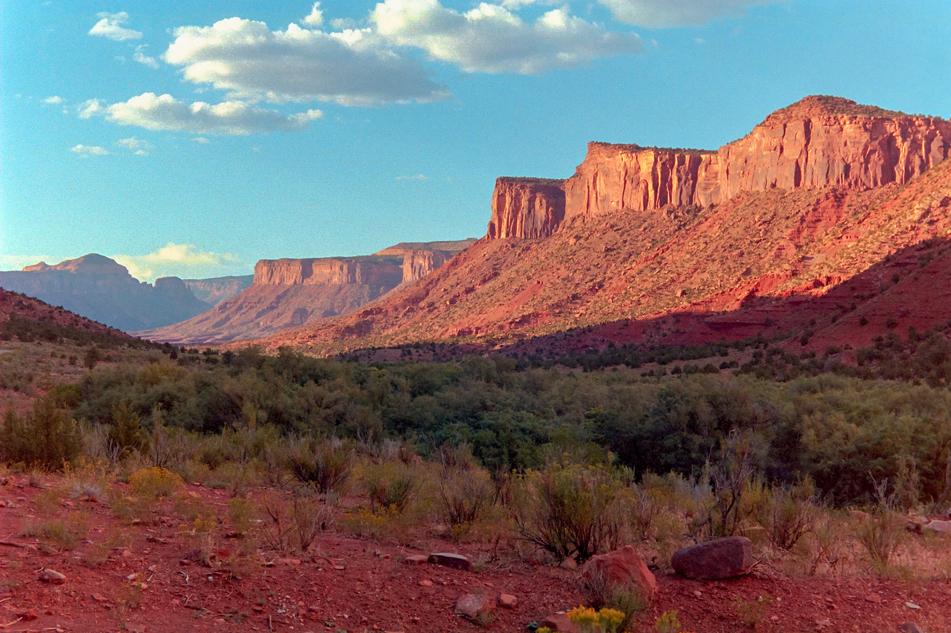 Late afternoon sun creates long shadows and brightly lights the cliffs along the Unaweep-Tabeguache Scenic Byway between the Blue and Sewemup Mesas near Gateway, Colorado.