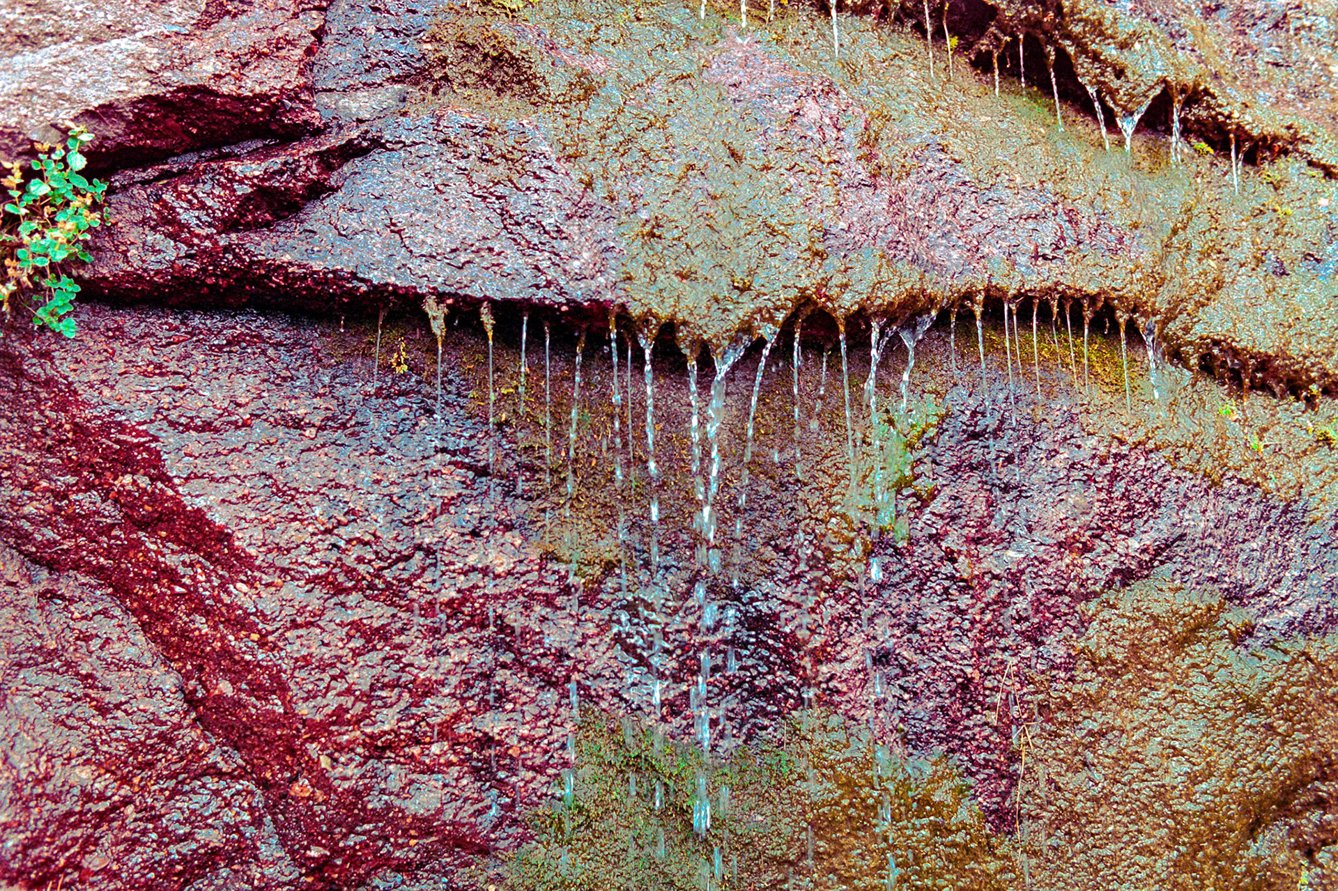 These interesting colors in the wet rock caught my eye while traveling Tomboy Road on the way to Savage Basin and Imogene Pass from Telluride, Colorado.