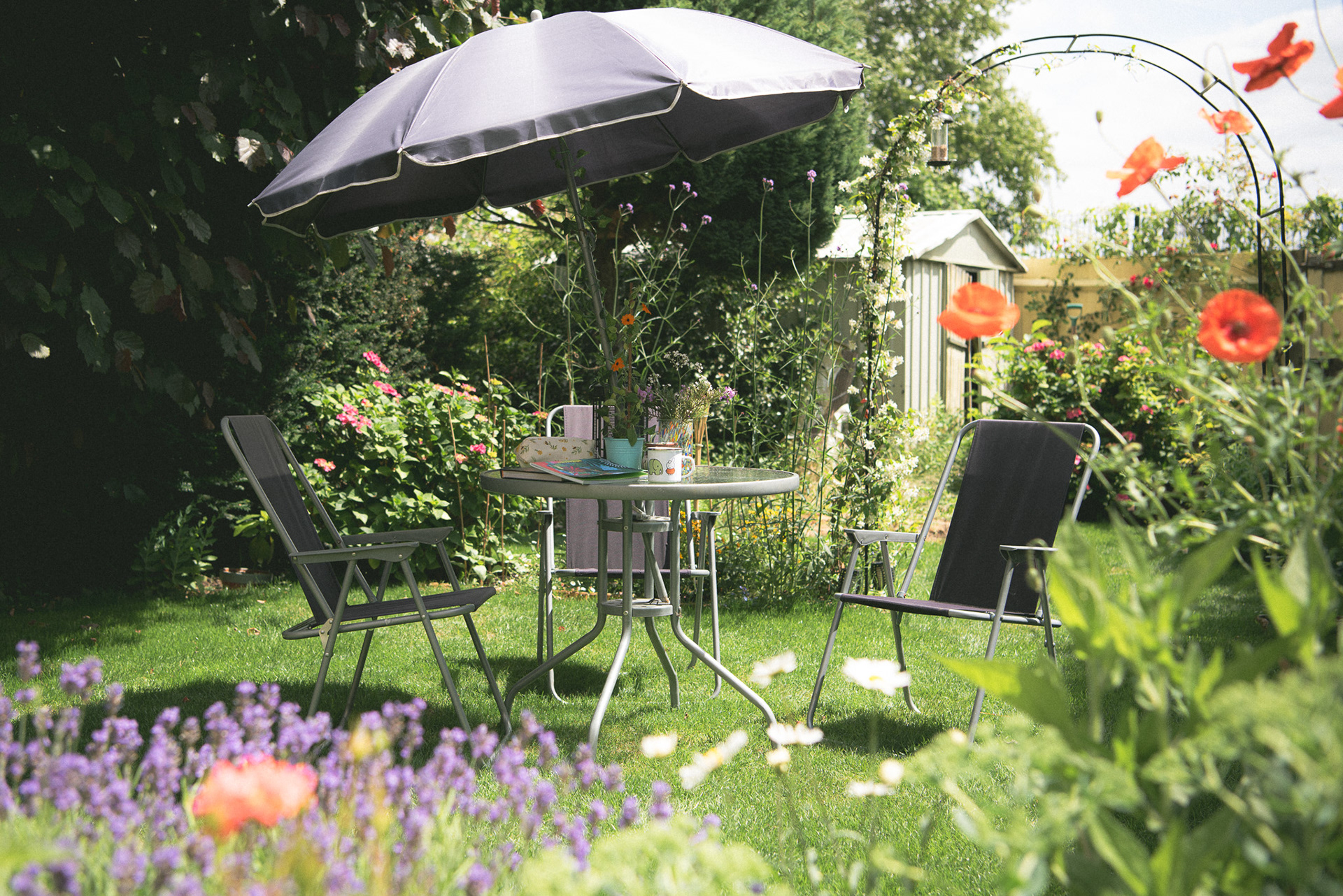 a mundane british garden, 'summer 23