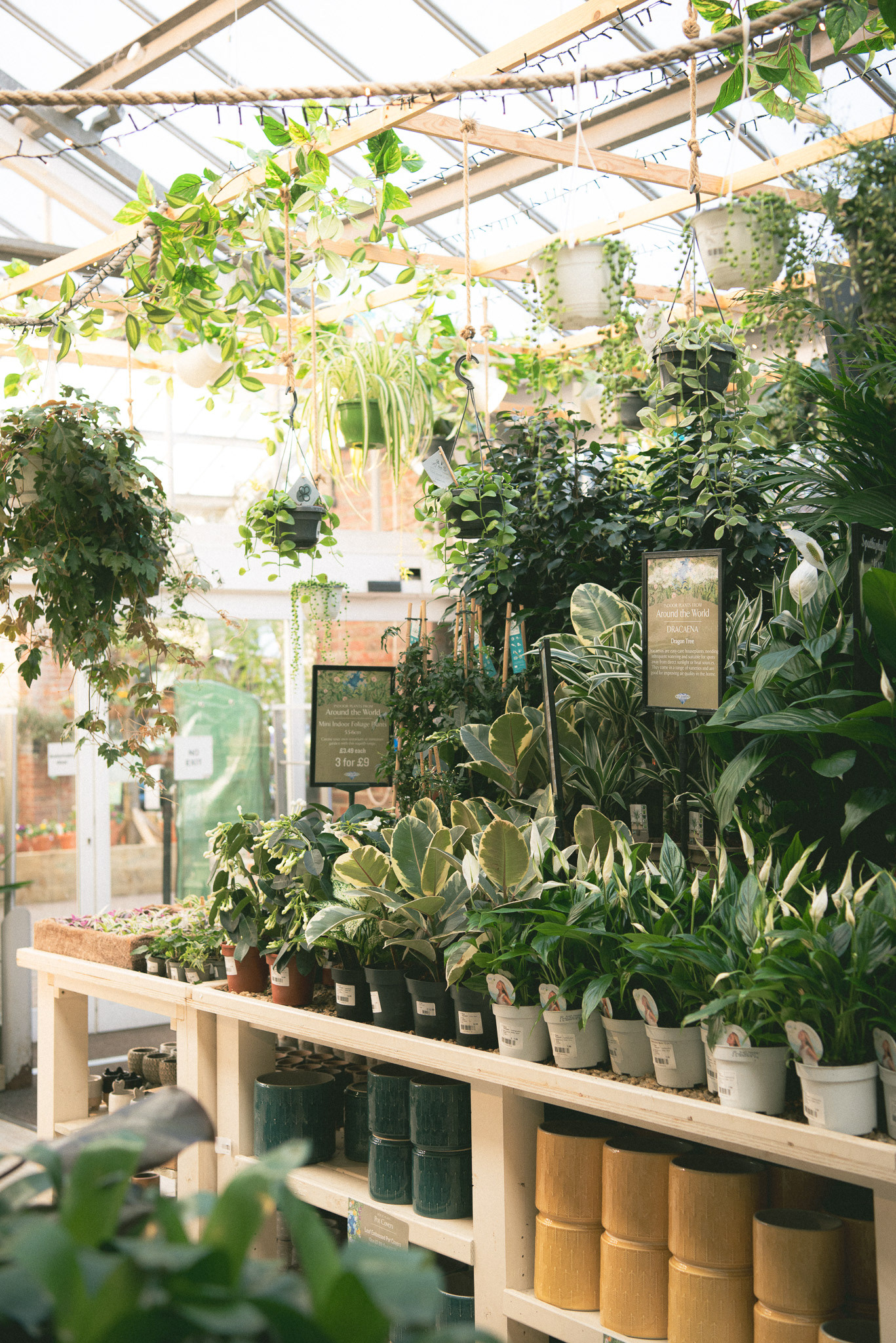 brambridge park garden centre, spring '23