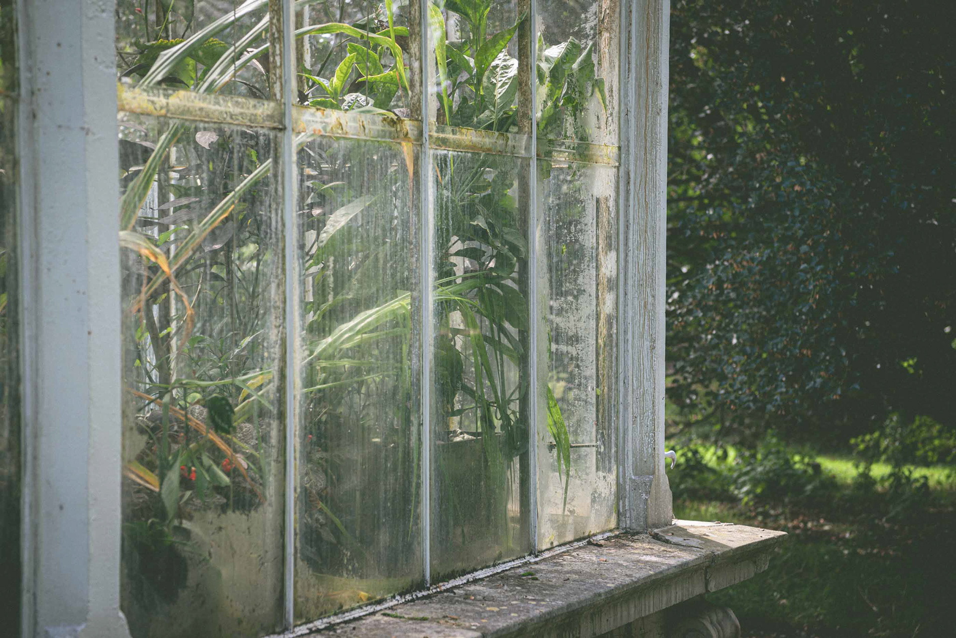 waterlily house, kew gardens - autumn '23