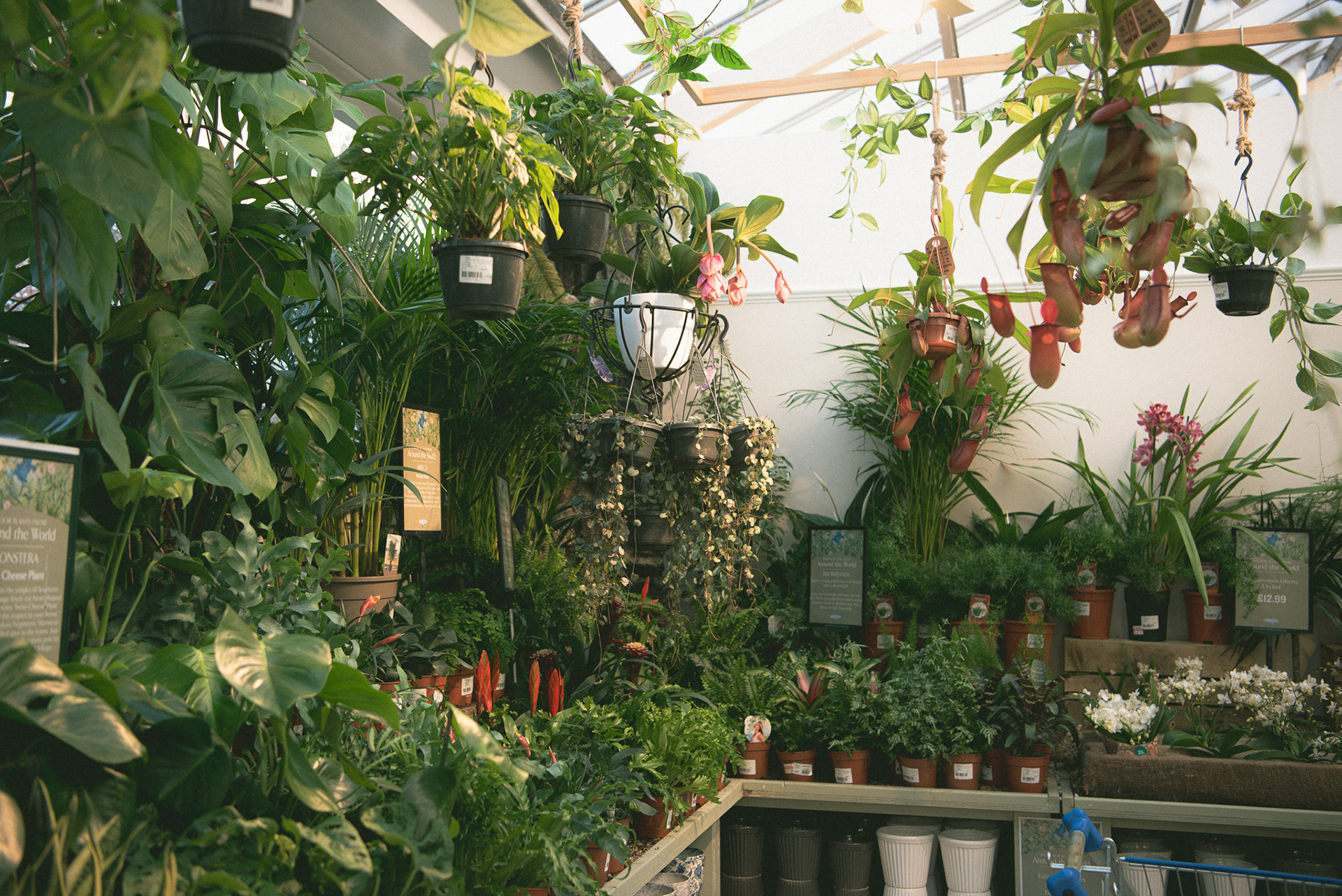 brambridge park garden centre, spring '23