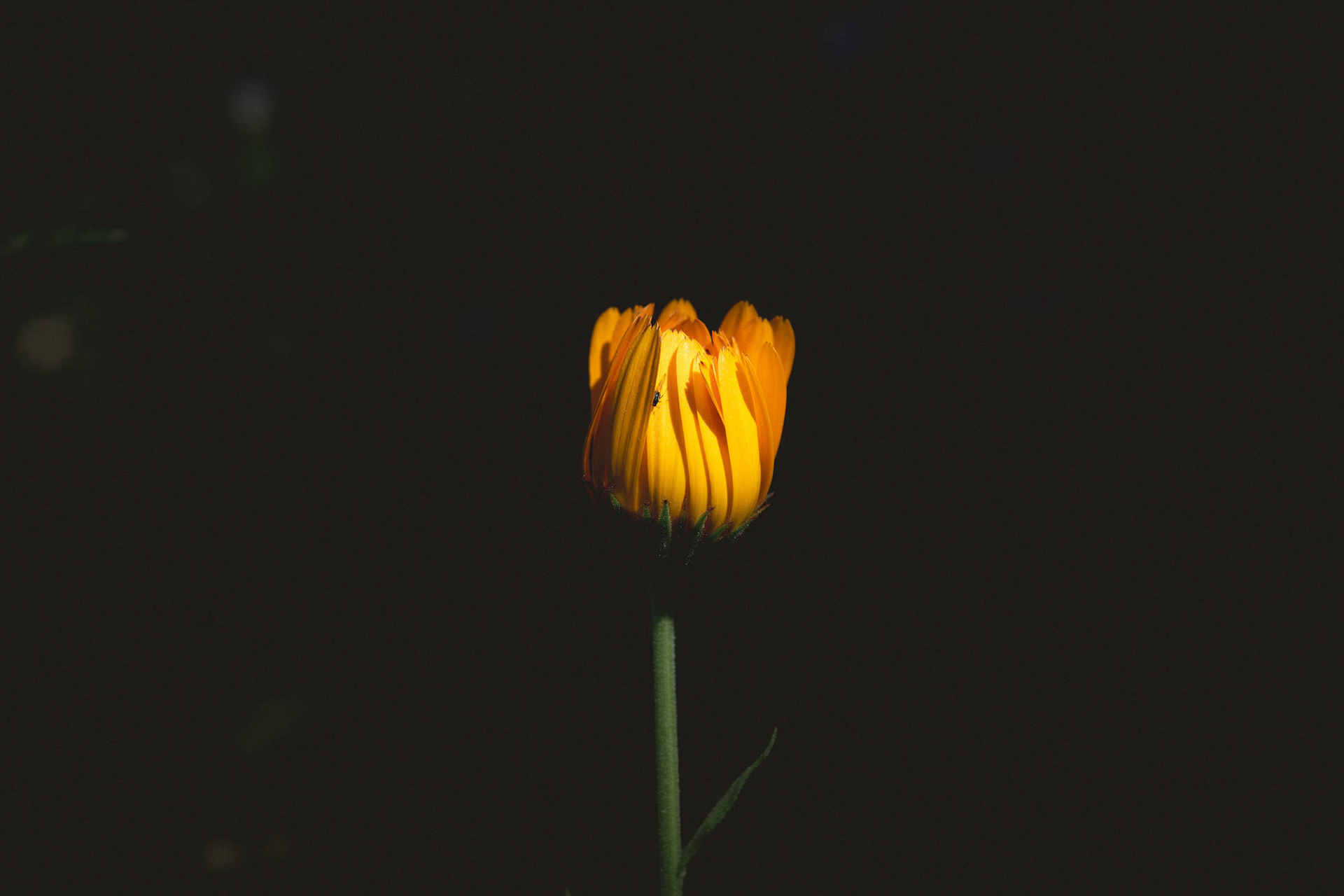 'almost.' | 2024