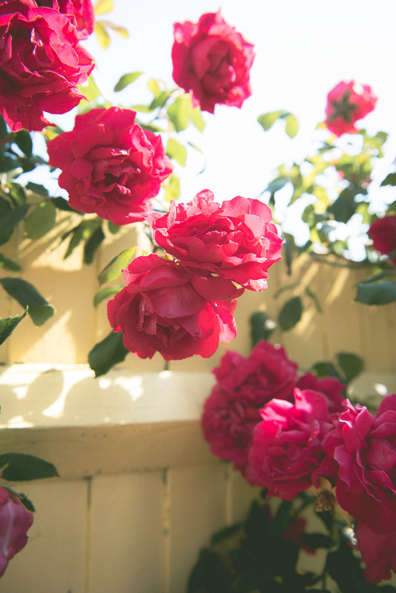 'feelin' summer'.