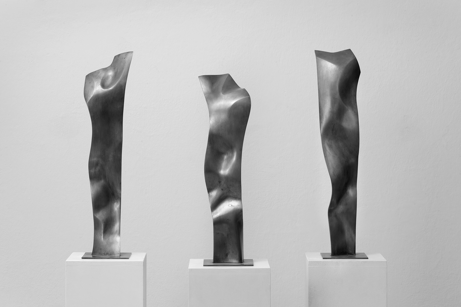 Varianty modelu Velké linie, bronz, 2002