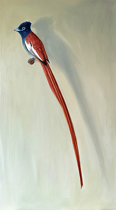 Leanne Olivier_Paradise-Flycatcher_2023_45x25cm_Oil on board