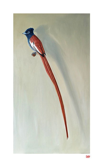 Leanne Olivier_Paradise Flycatcher Print_2023_50x31cm_Printed on Hahnemuhle 265gsm