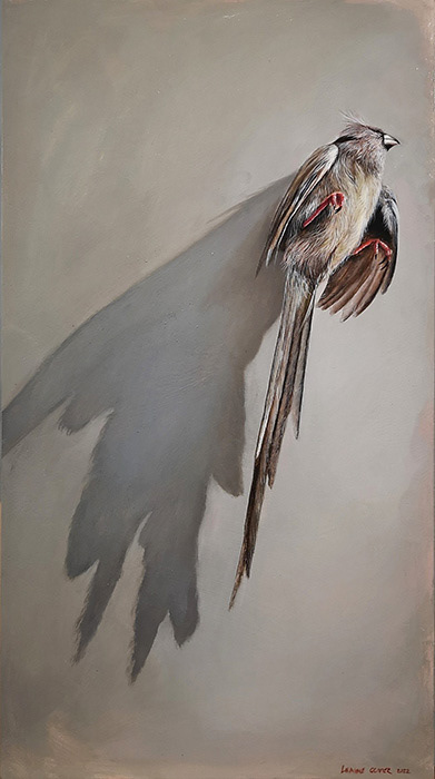 Leanne Olivier_Coliidae_2022_45x25_Oil on board