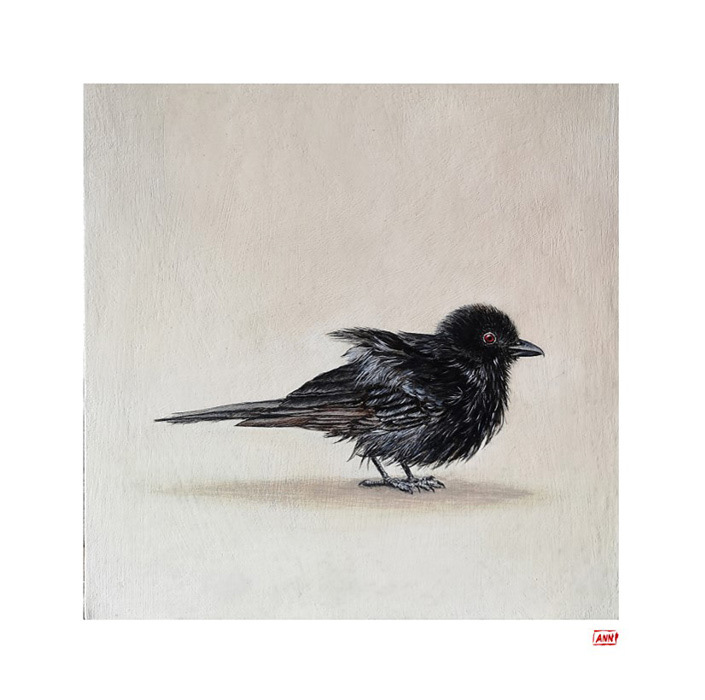 Leanne Olivier_Fork-tailed Drongo Print_2023_33.4x33.4cm_Printed on Hahnemuhle 265gsm
