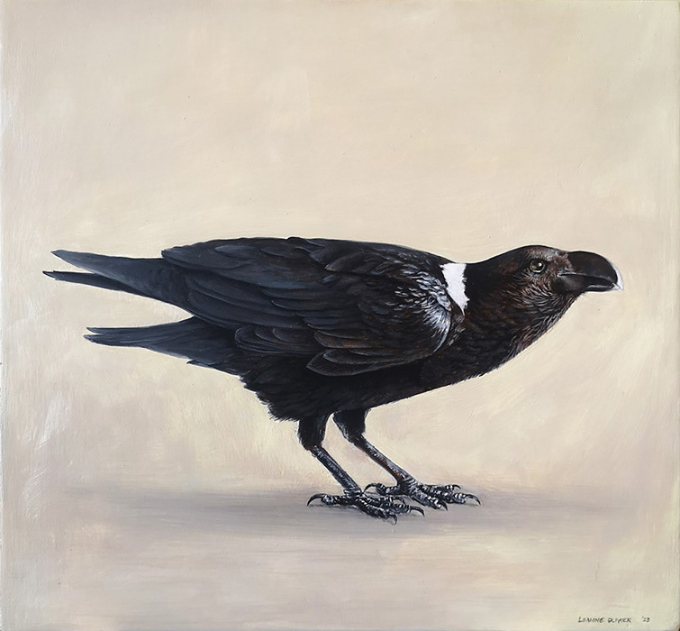 Leanne Olivier_White-necked Raven_2023_26x28cm_Oil on wood