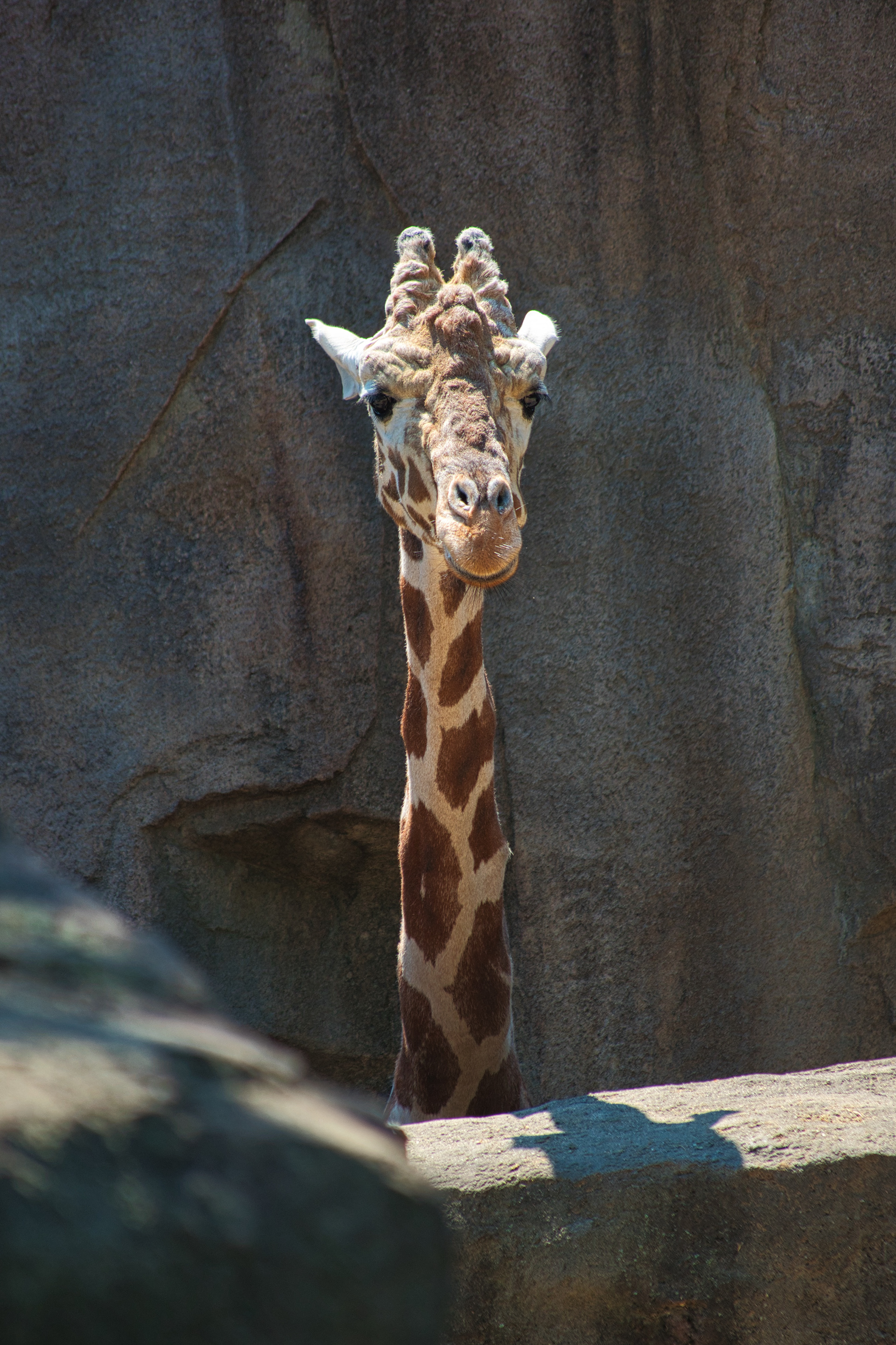 Milwaukee Zoo, Milwaukee, Wisconsin