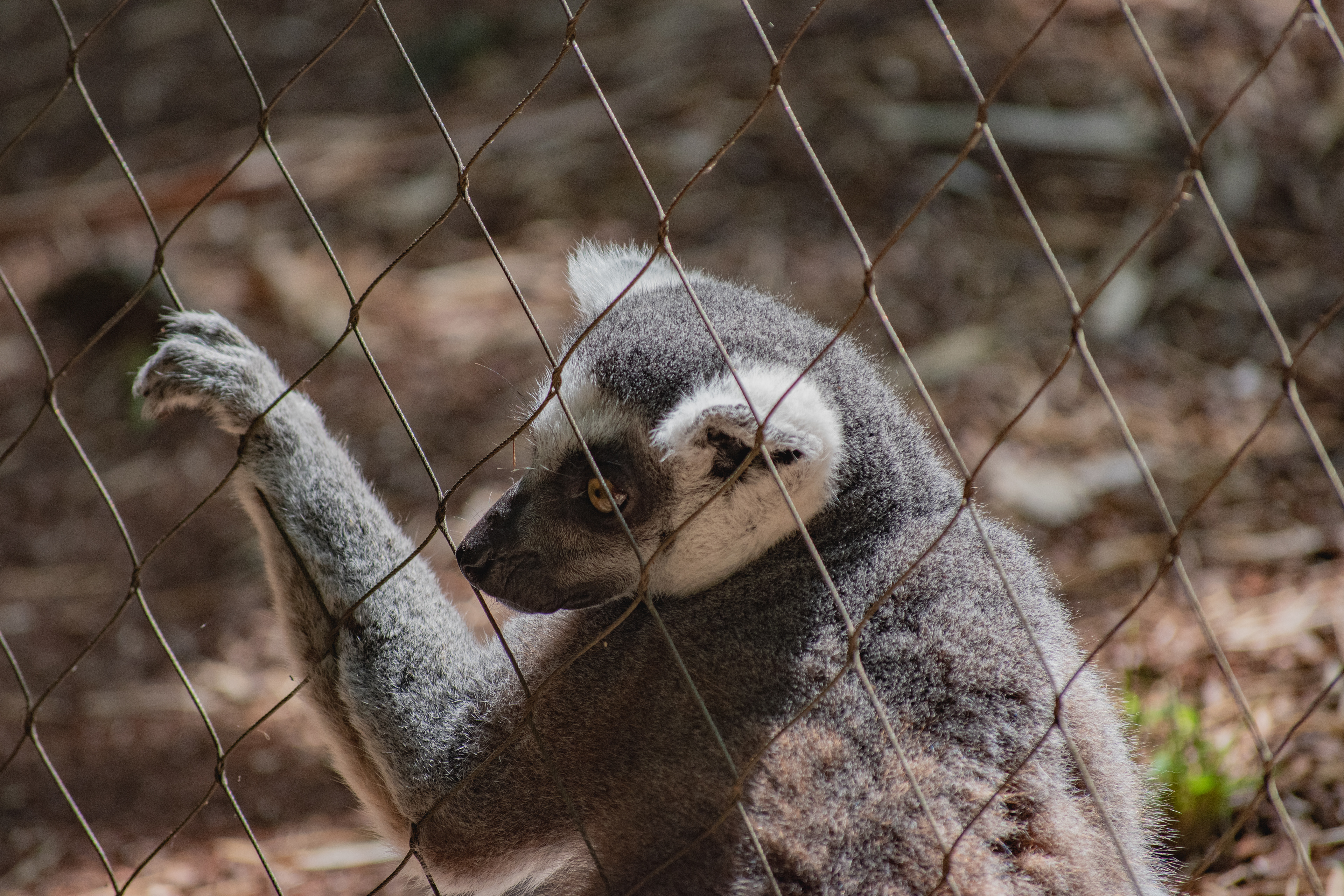 Nashville Zoo, Nashville, Tennessee