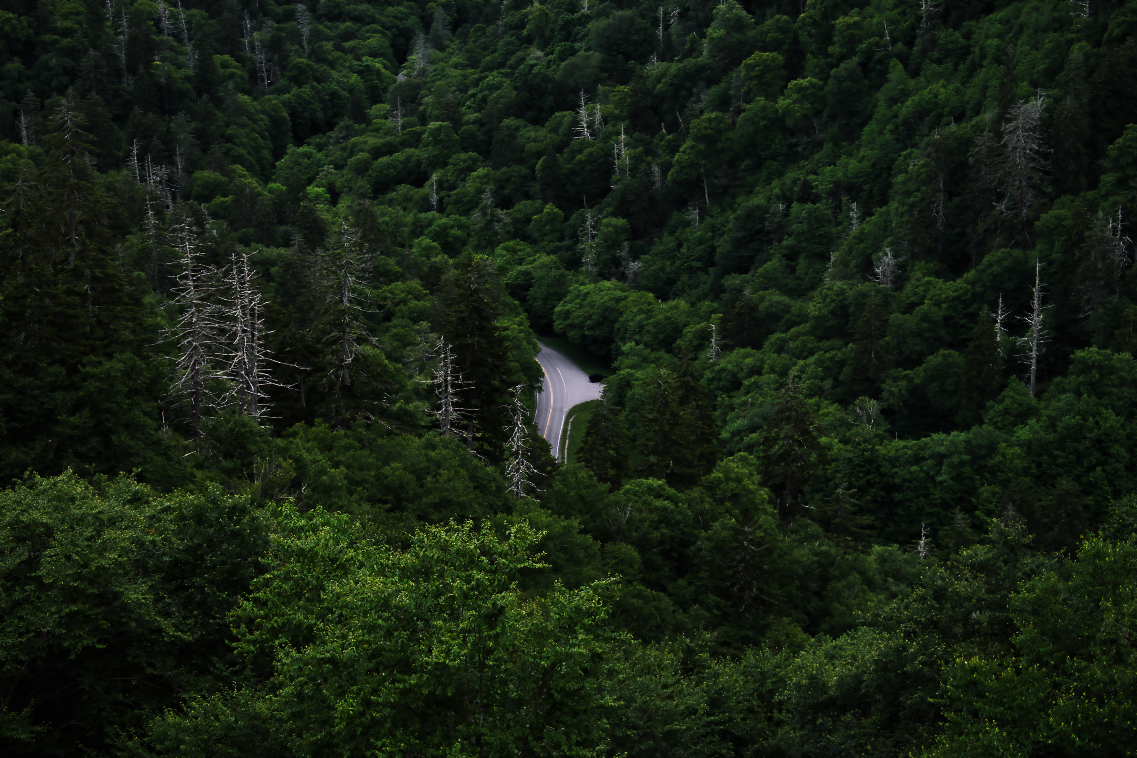 Smoky Mountains, Tennessee