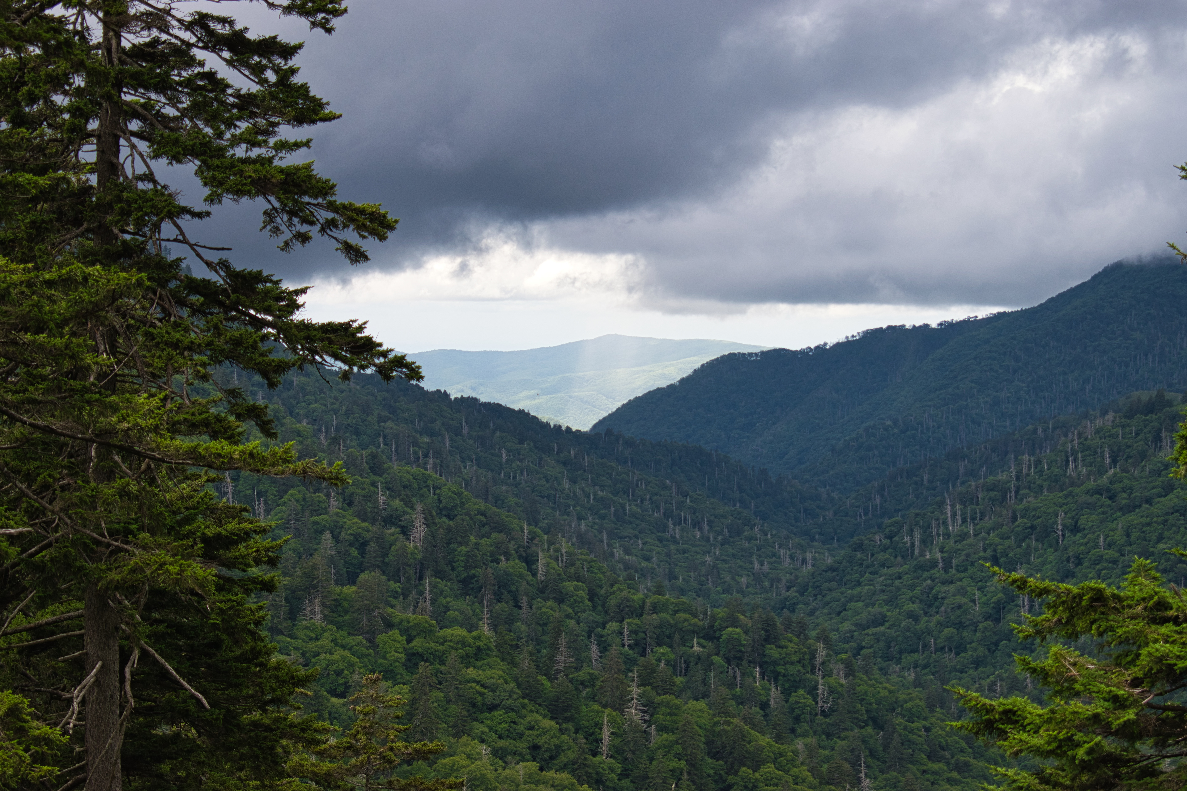 Smoky Mountains, Tennessee