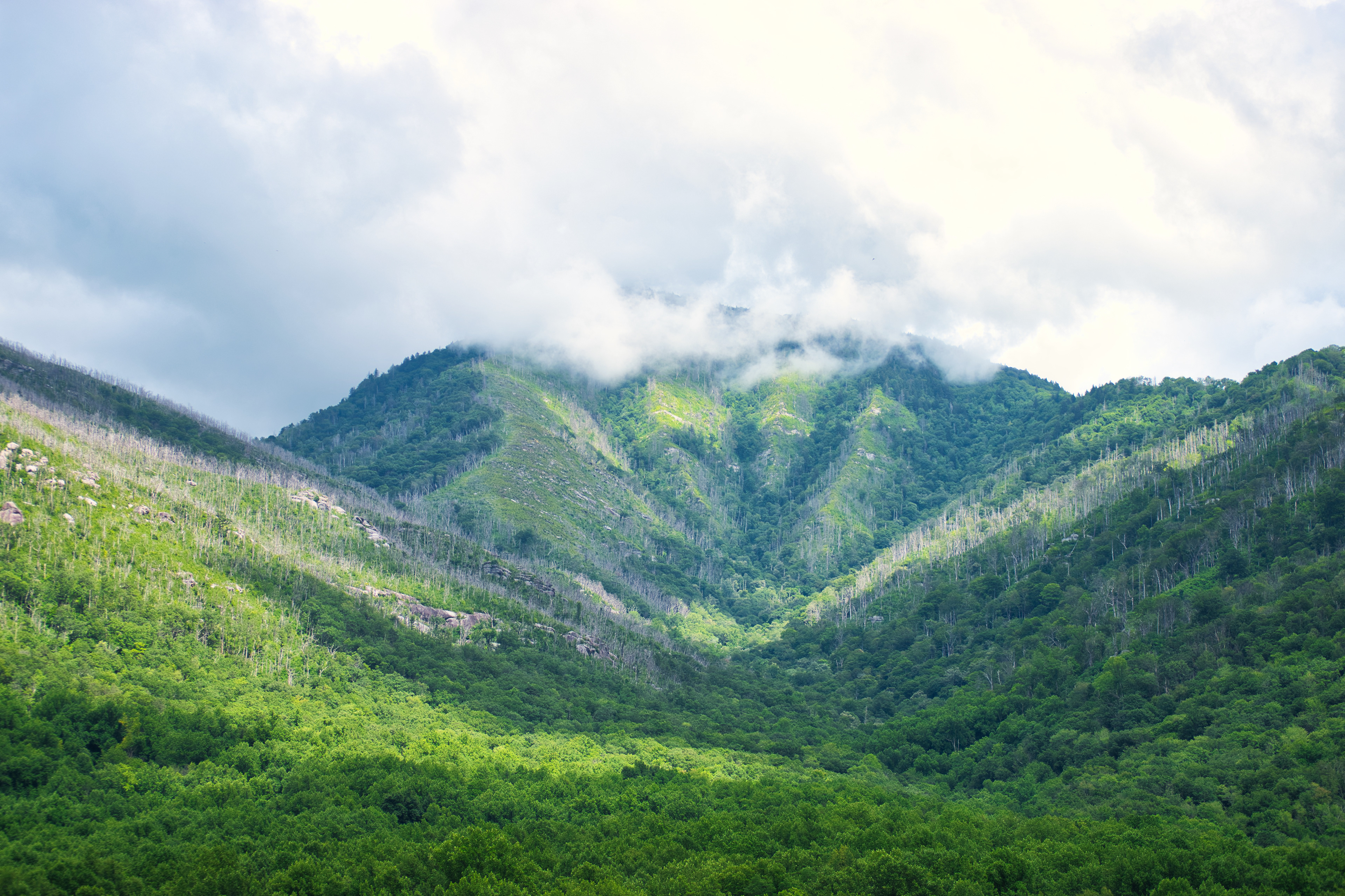 Smoky Mountains, Tennessee