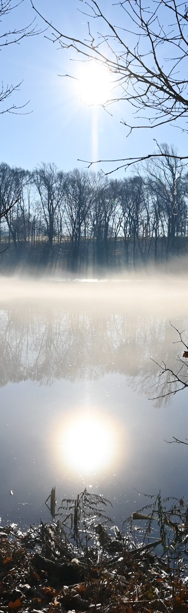 Morning Pond