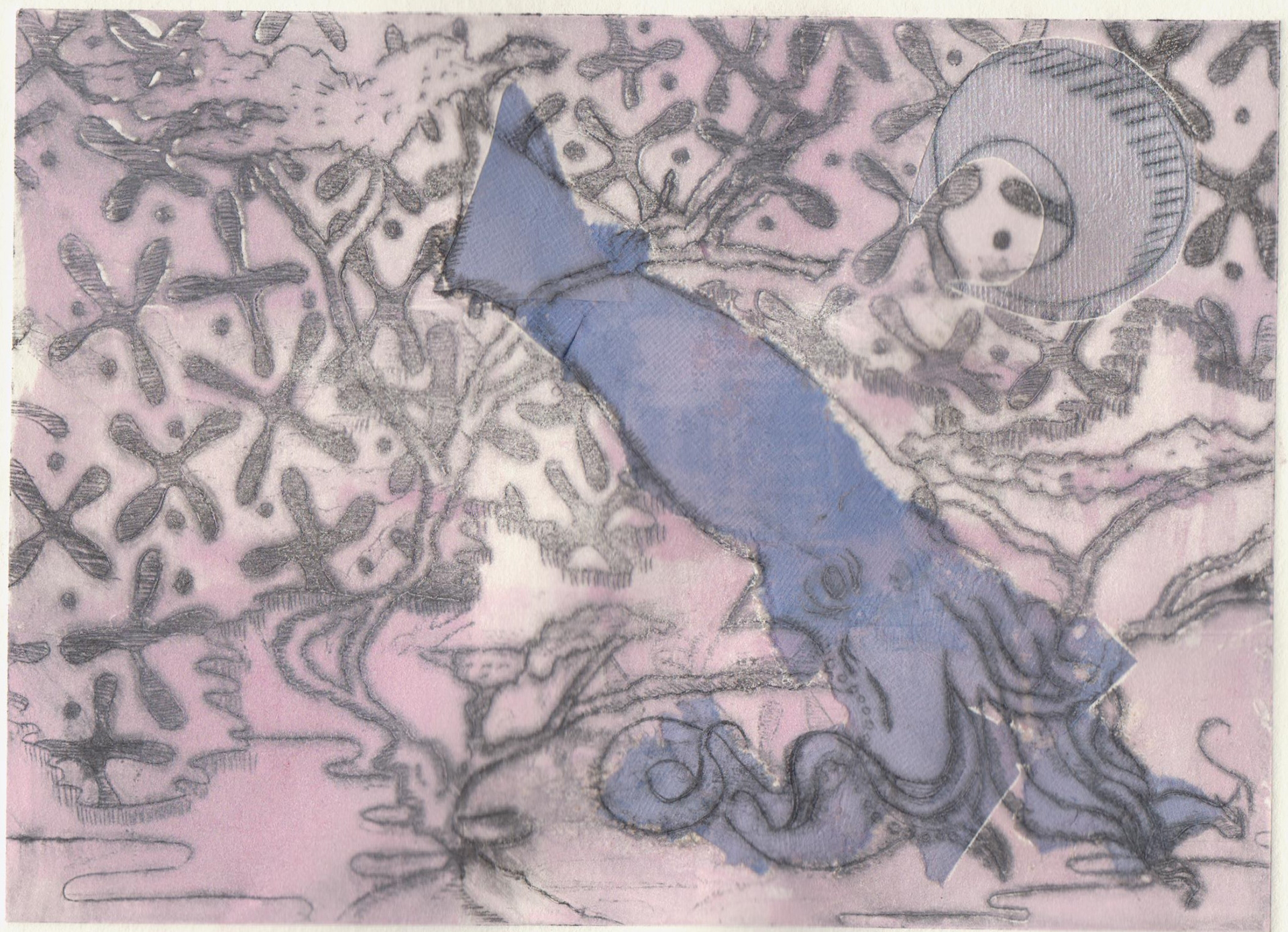 derivative squid, intaglio, 2020