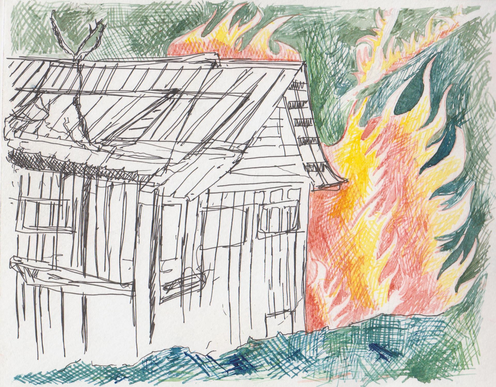 burning shed, thorn pen and regular pen, 2020
