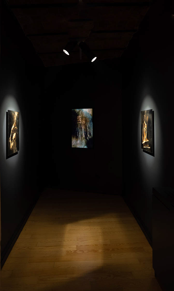 Ecdysis | Labirent Sanat - ISTANBUL | 2021 |