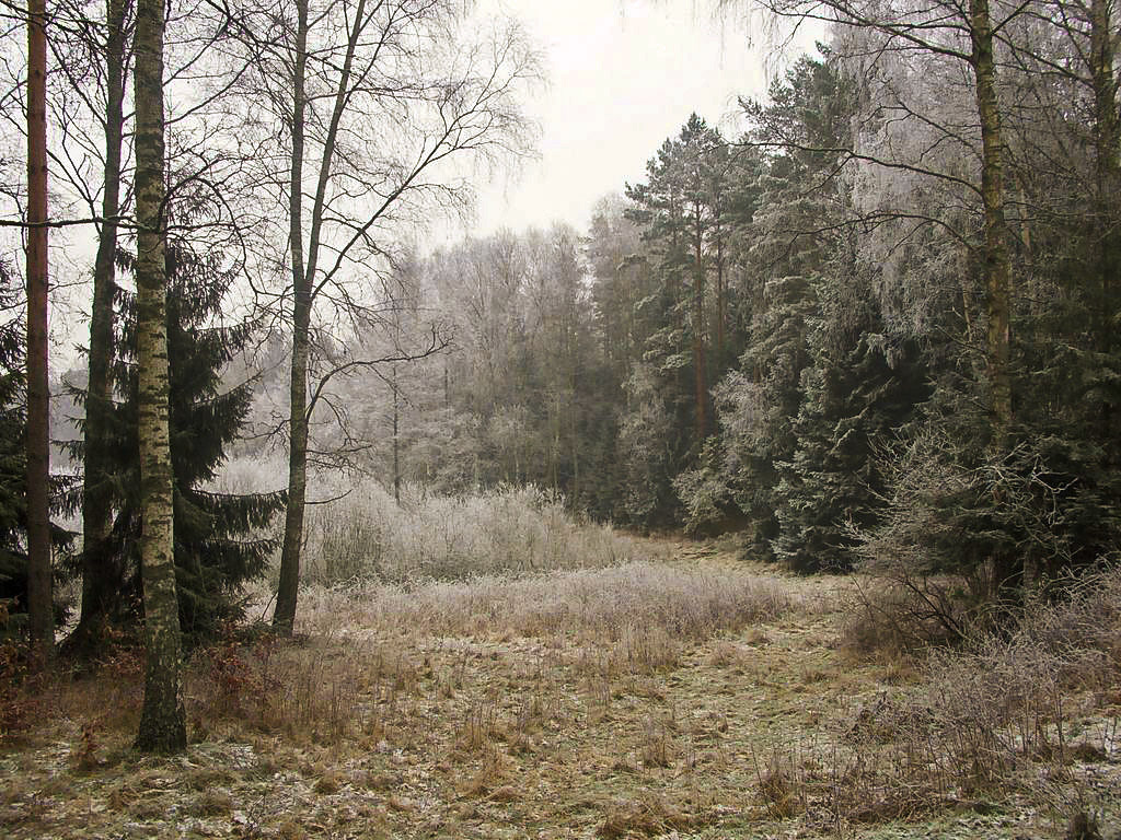 Mazury. 2009
