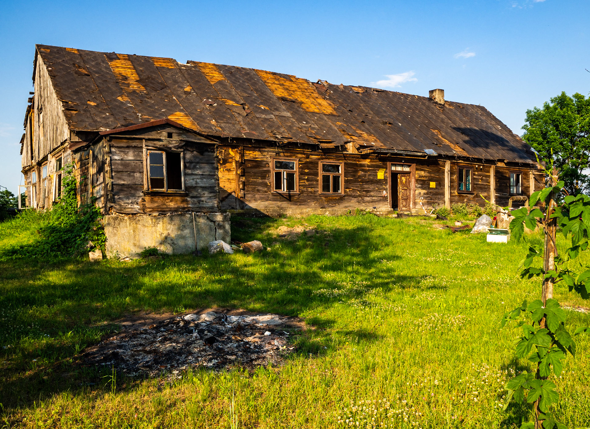 Puszcza Kampinowska. 2018