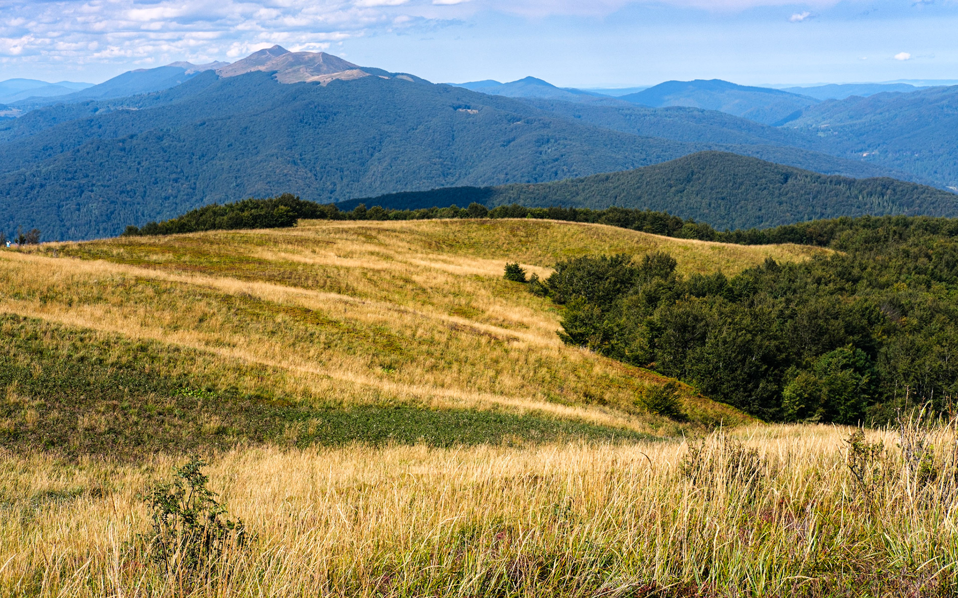 Bieszczady. 2020