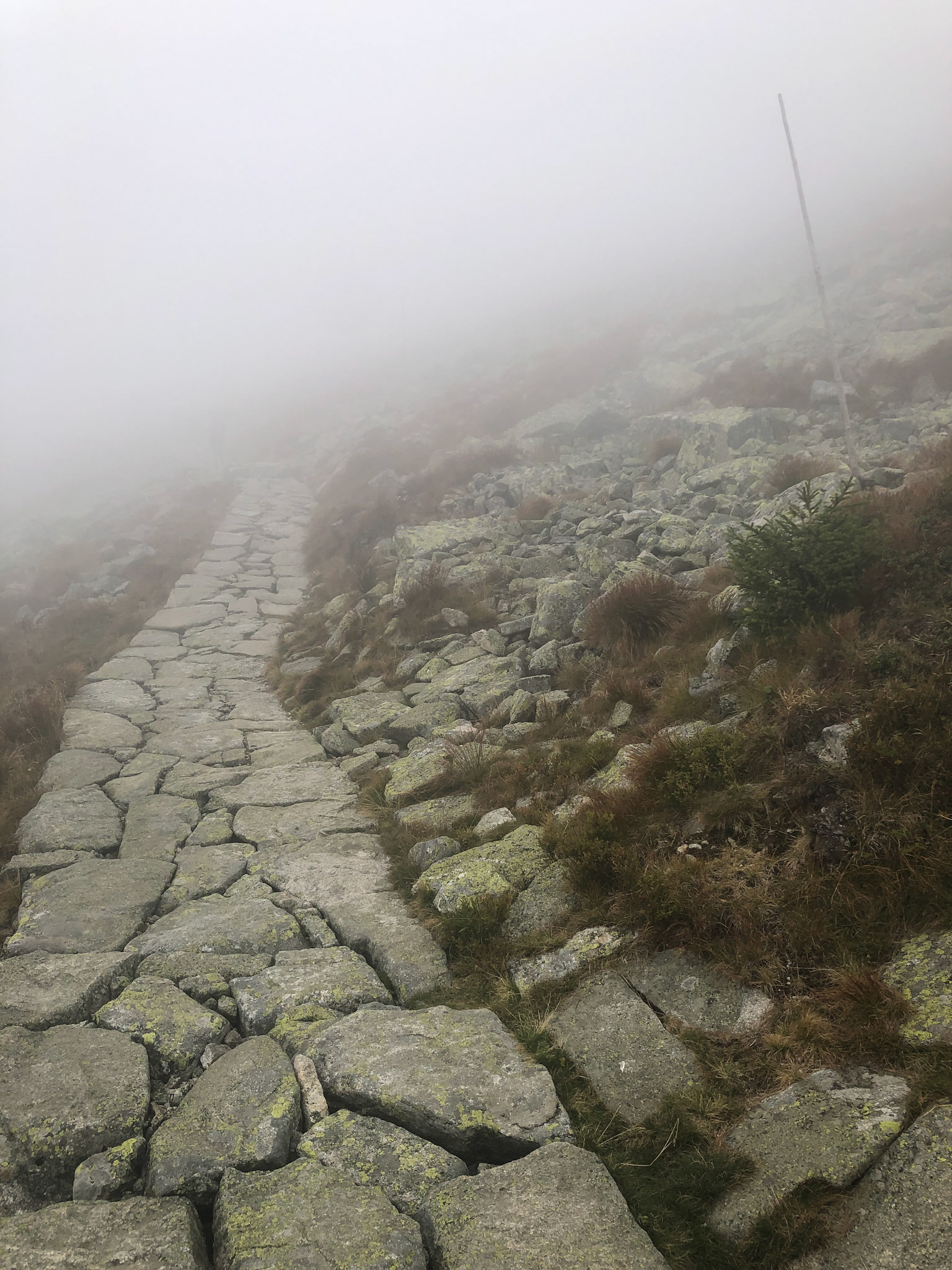 Nizke Tatry, Slovakia. 2023