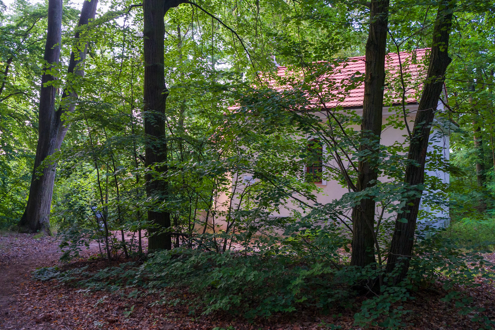 Gostyńsko-Włocławski Park Krajobrazowy. 2024