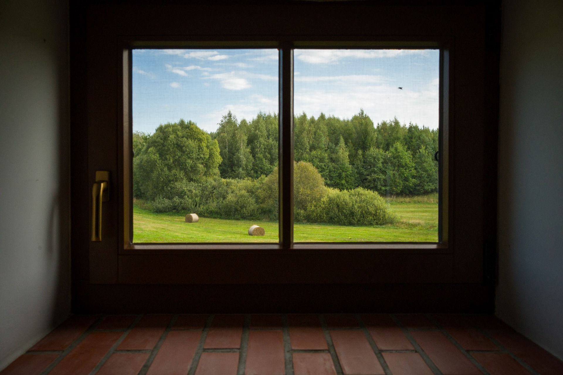 Golubie Wężewskie, Mazury. 2024