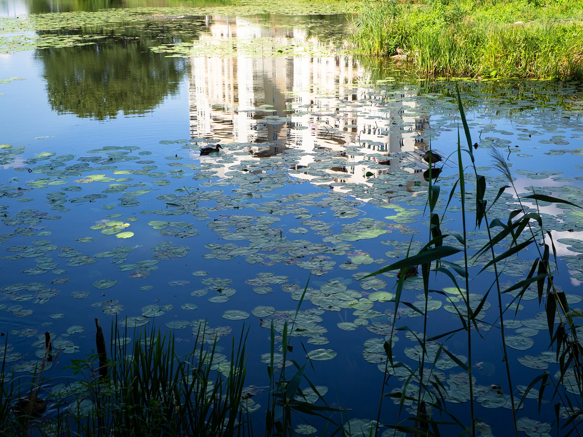 Gocław, Warszawa. 2018