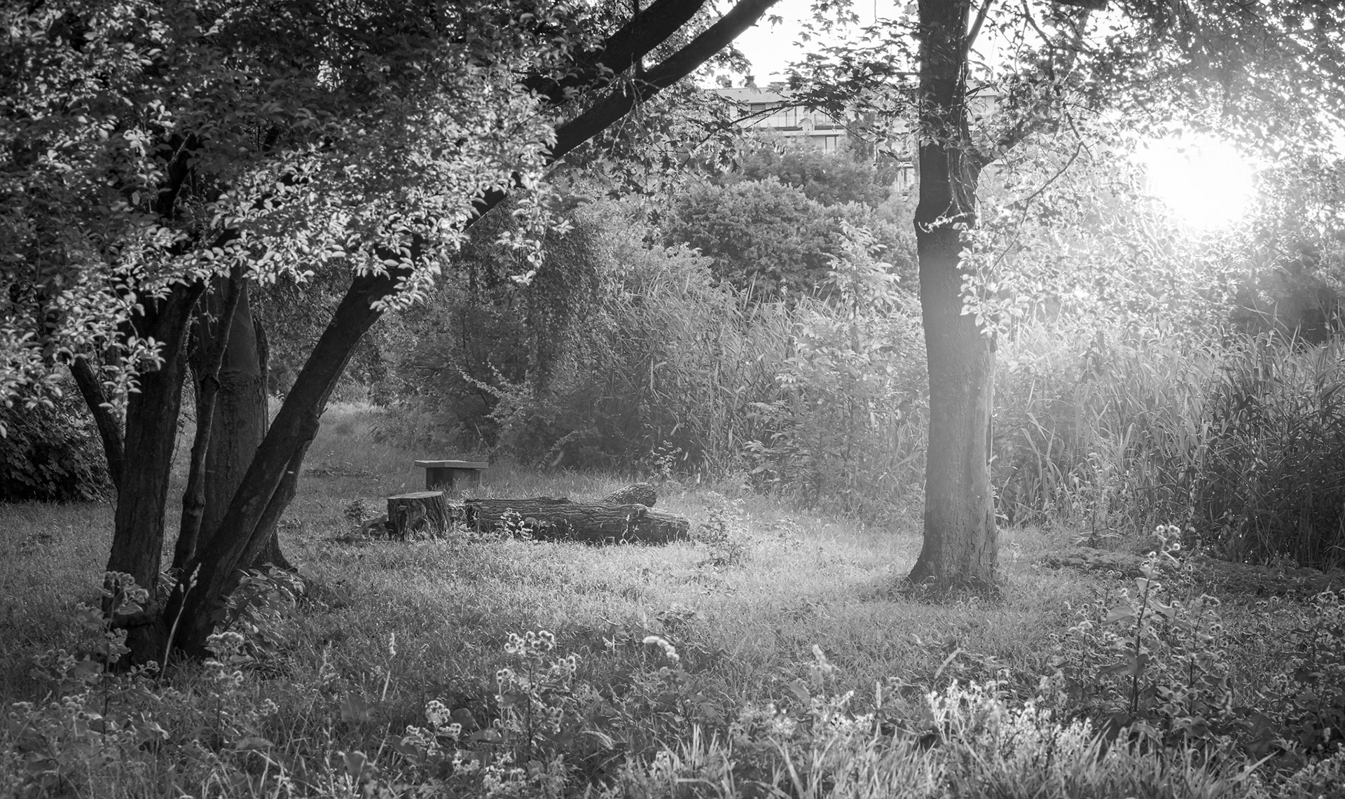 Gocław, Warszawa. 2024