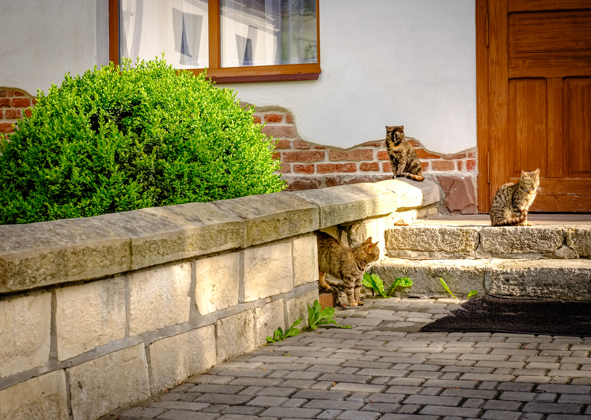 Ławra Uniowska. Ukraina. 2019
