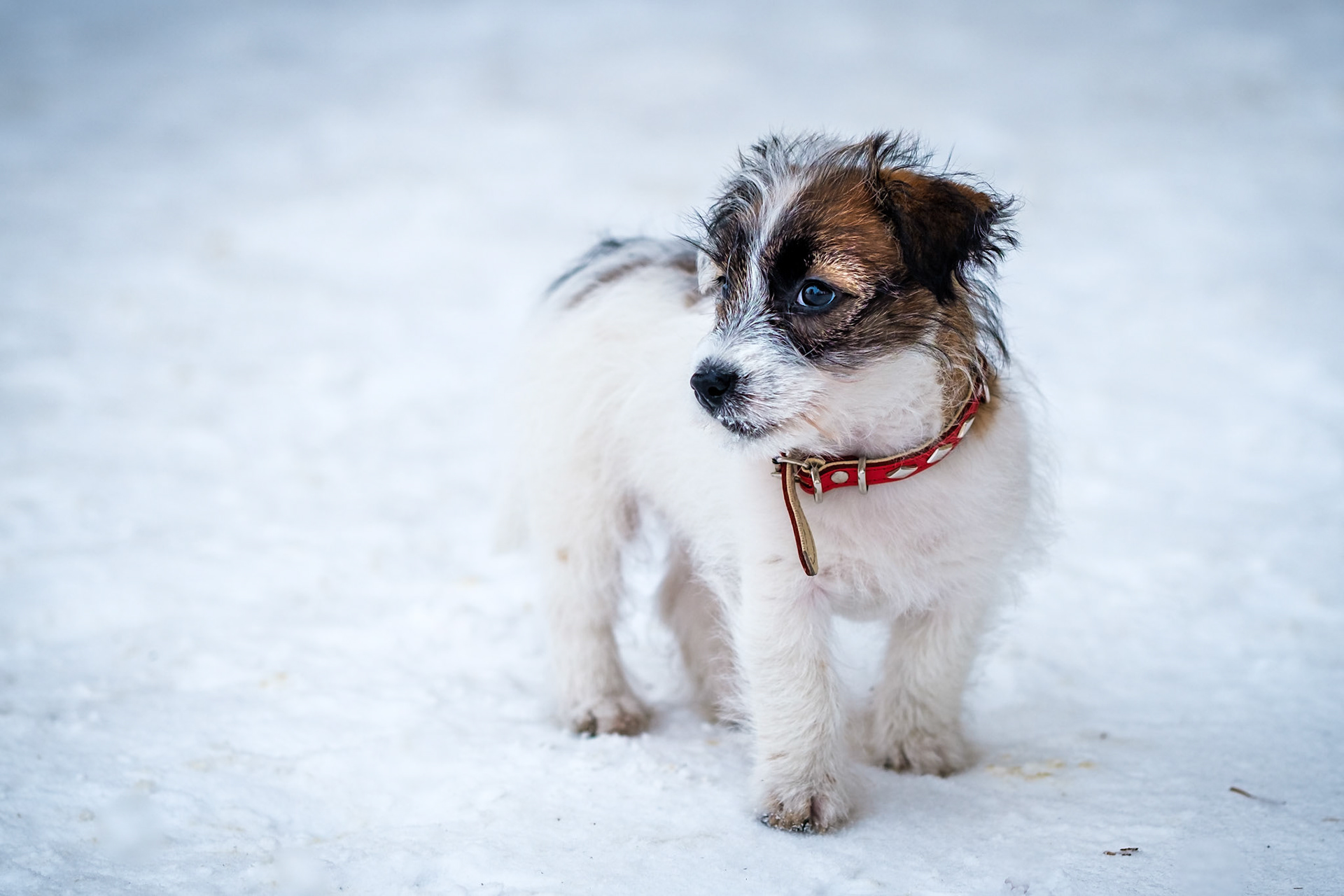 Tomaszów Lubelski. 2021