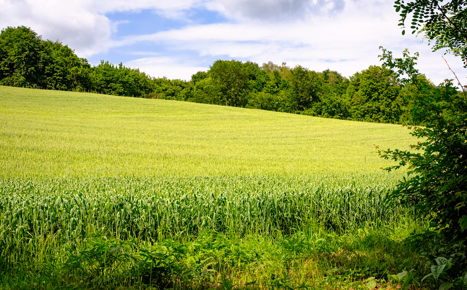 Ławra Uniowska. Ukraina. 2019