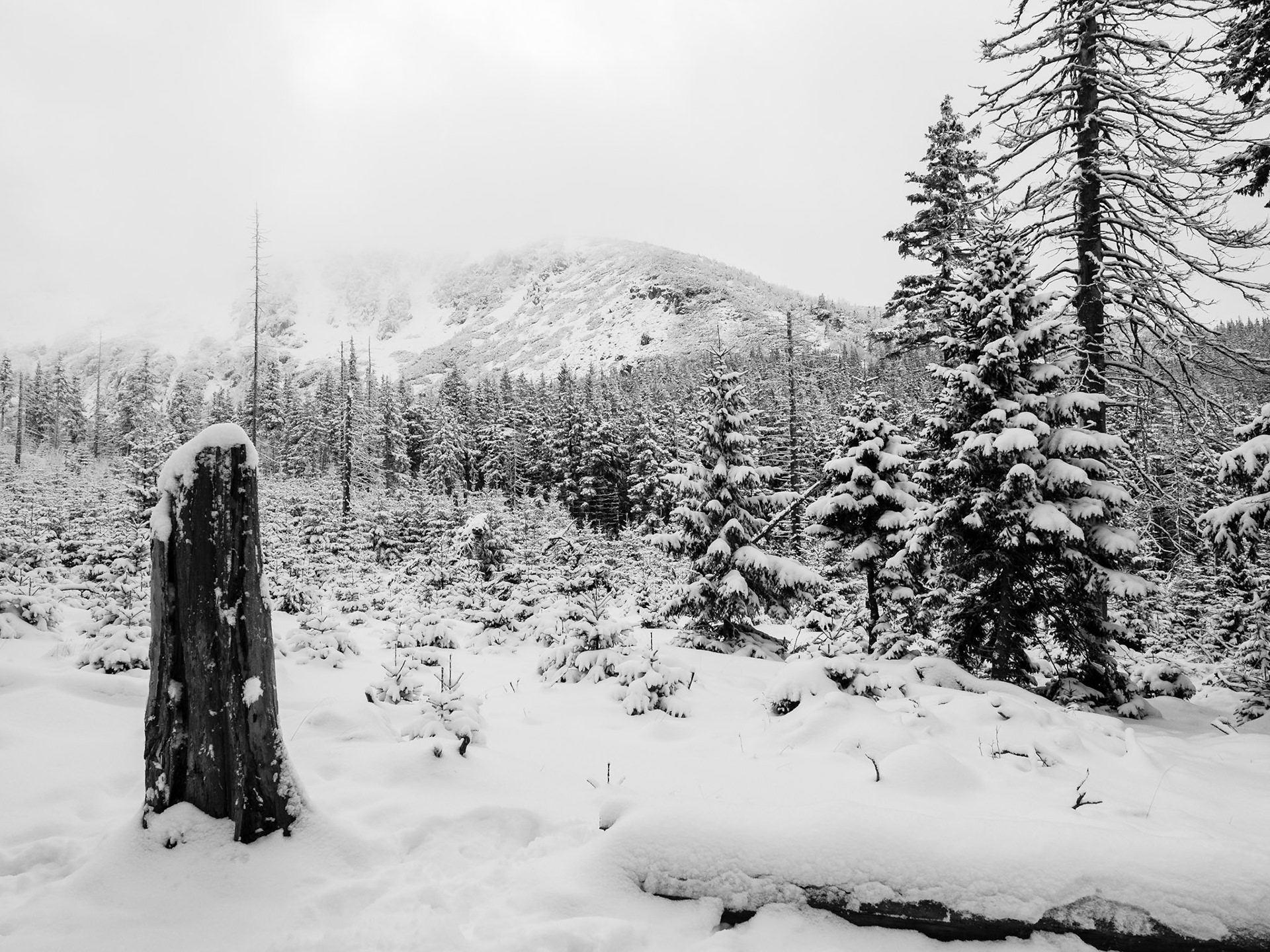 Karkonosze. 2014
