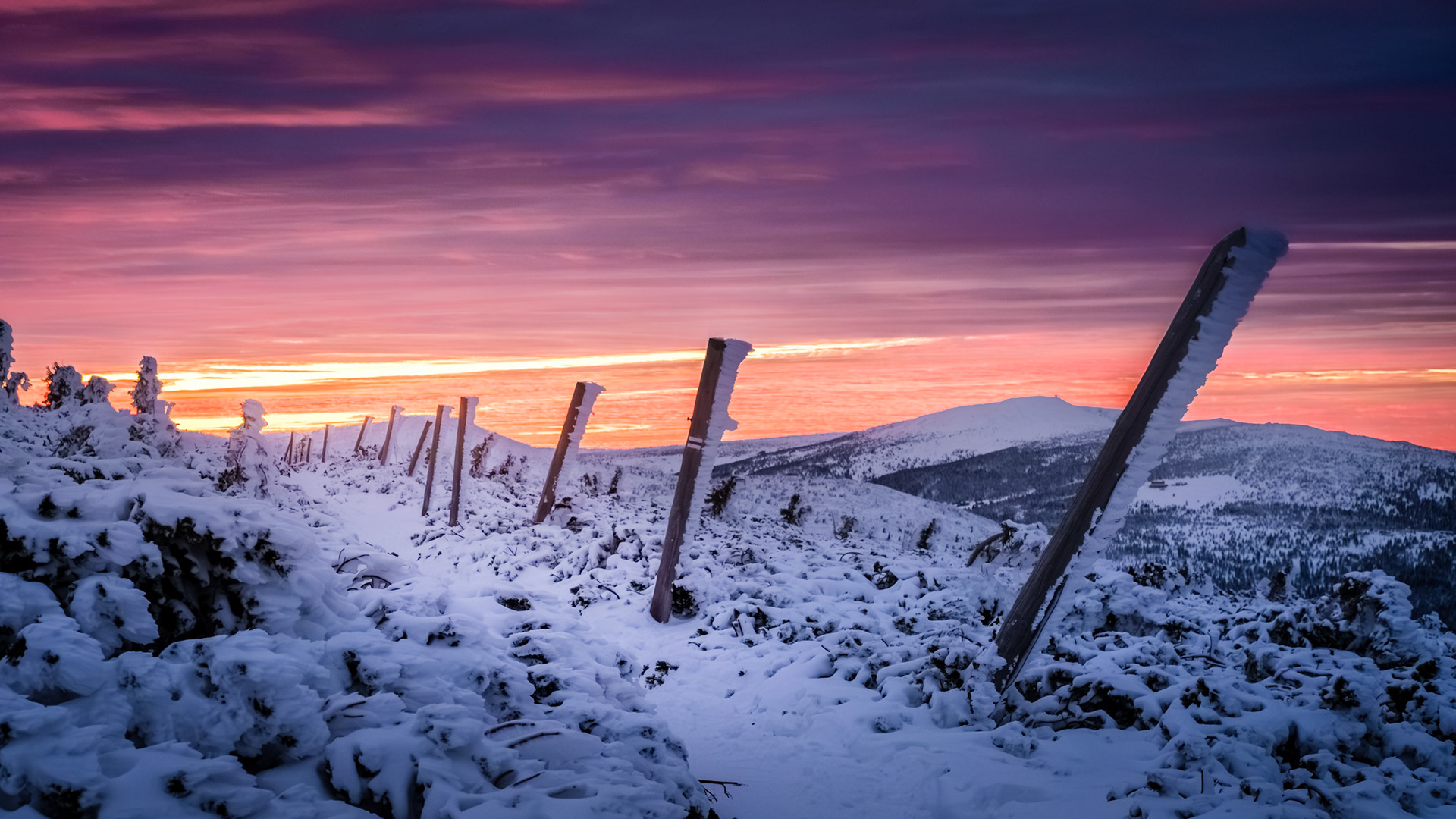 Karkonosze. 2019