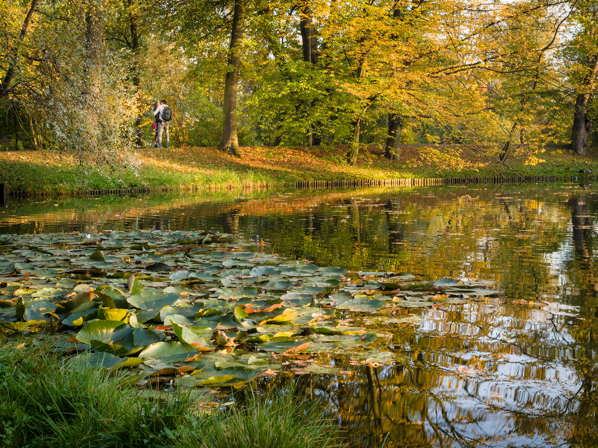Park w Wilanowie, Warszawa. 2014