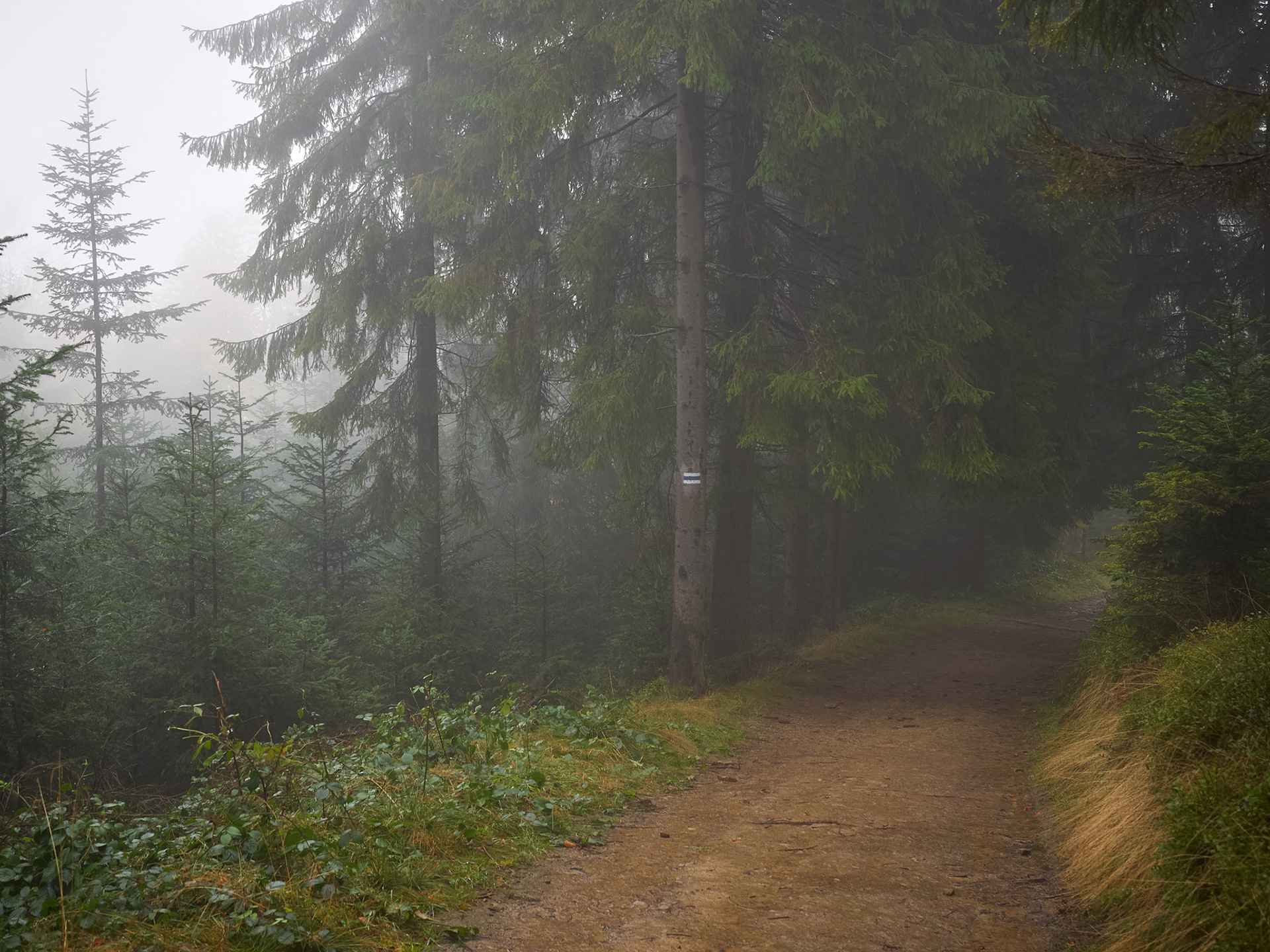 Beskid Sądecki. 2016