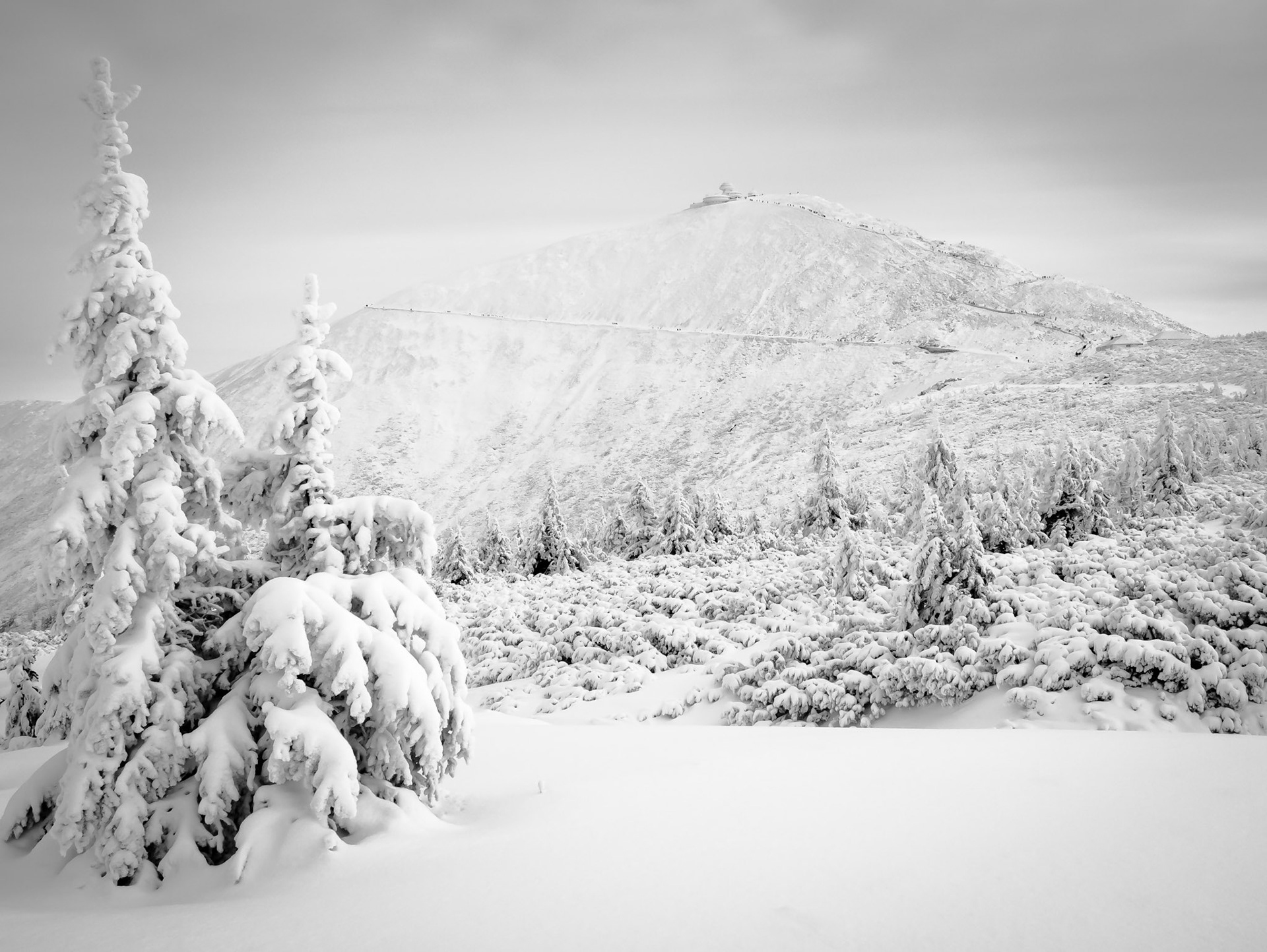 Śnieżka, Karkonosze. 2014