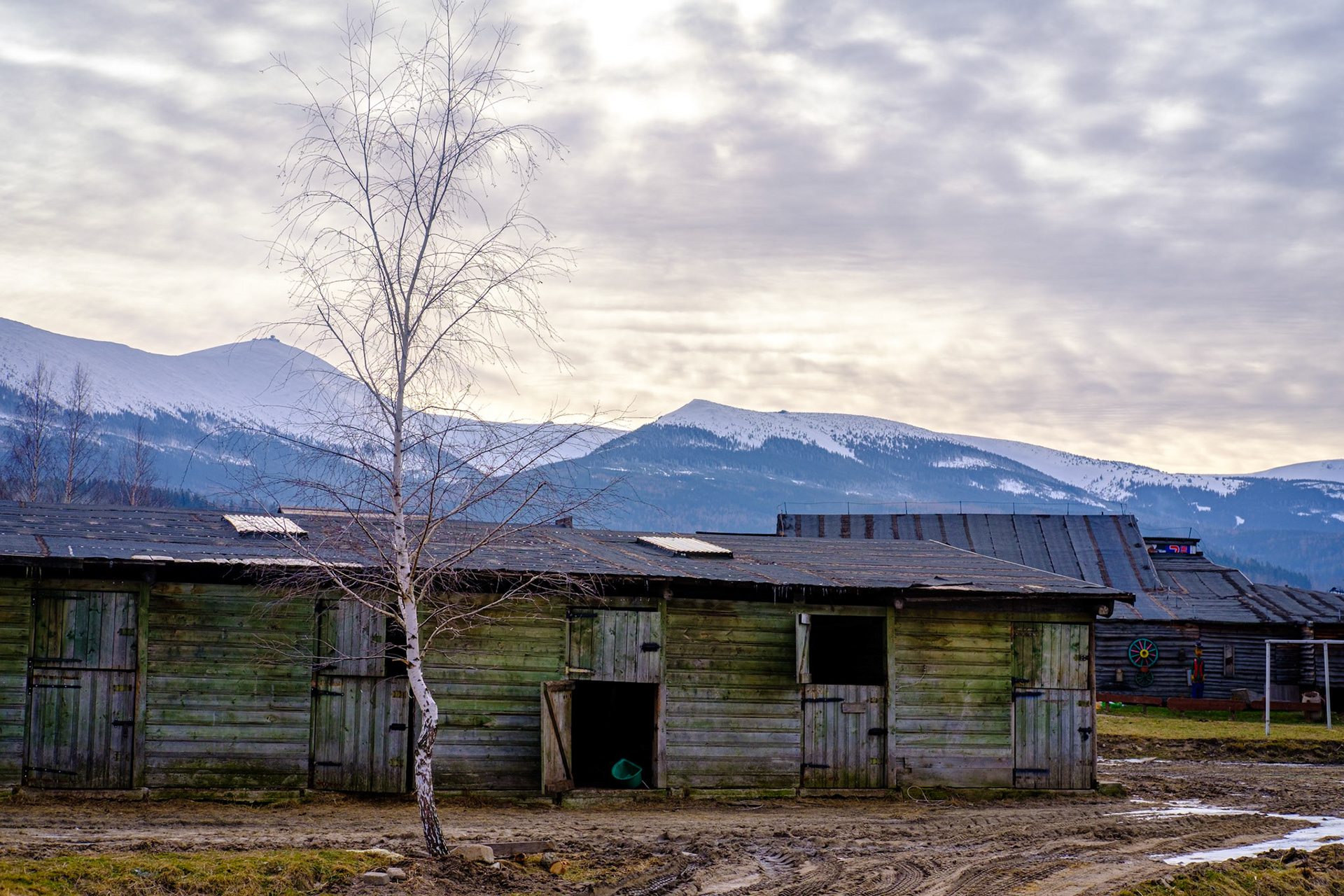 Karkonosze. 2019