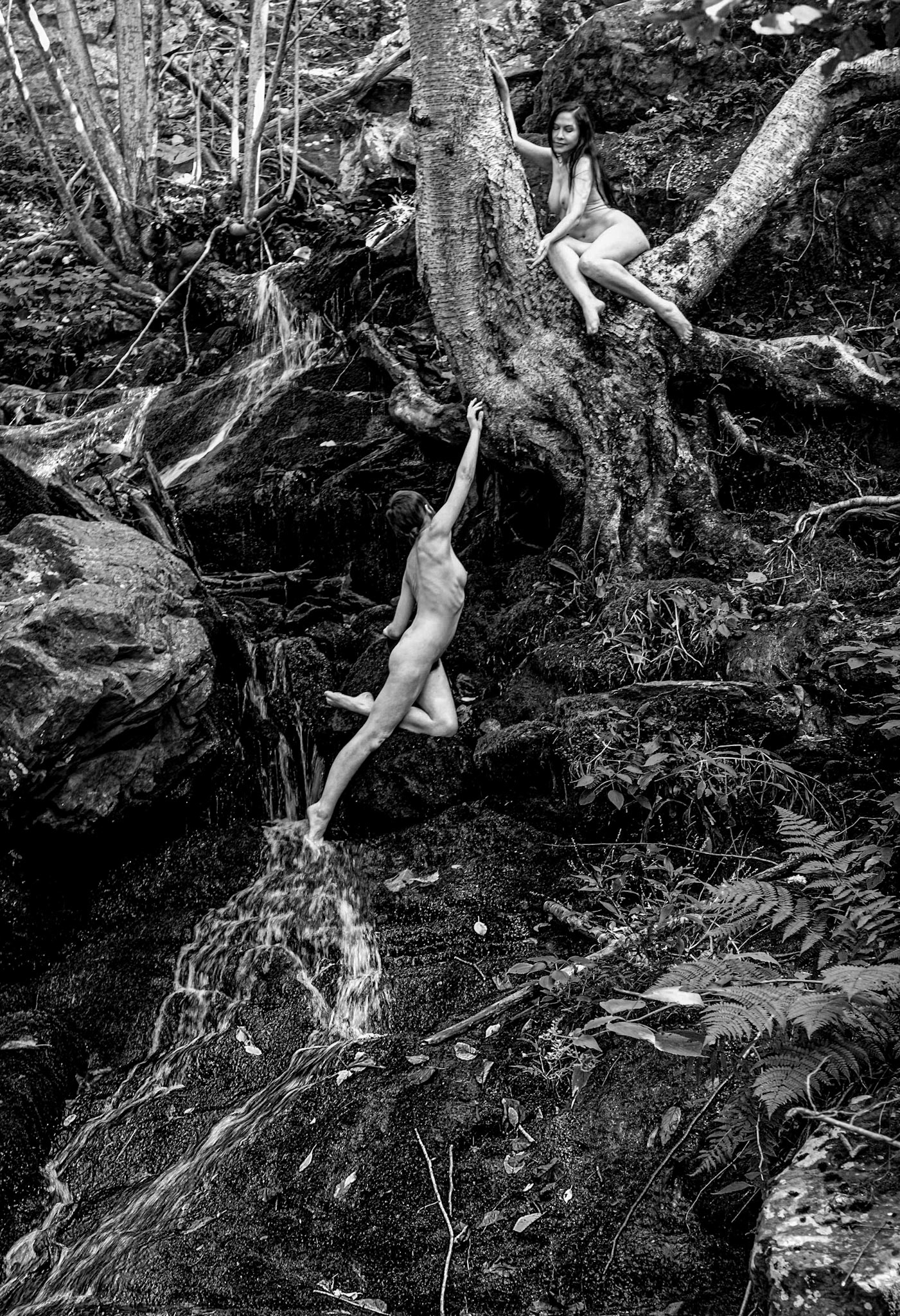 Models: Melancholic and Vox Serene