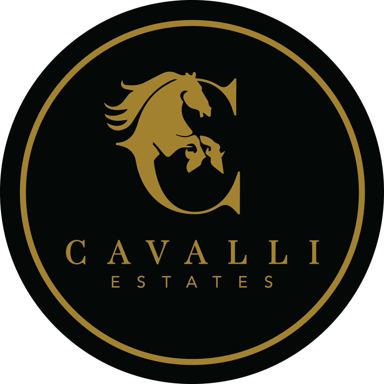 Just Cavalli Logo and symbol, meaning, history, PNG, brand