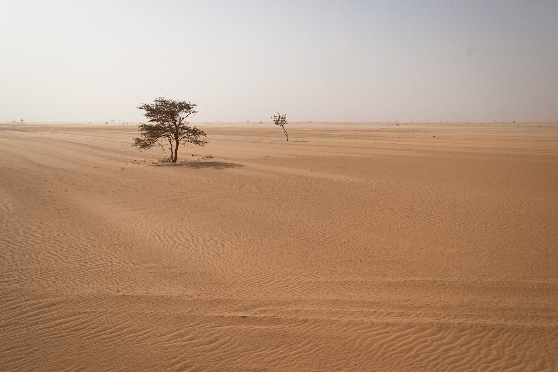 I went to the desert on a truck with no name...