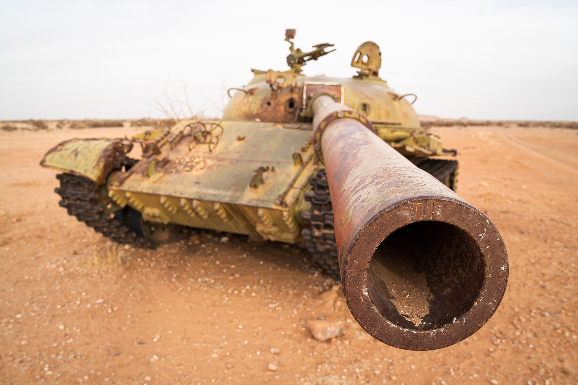 From the war with Lybia
